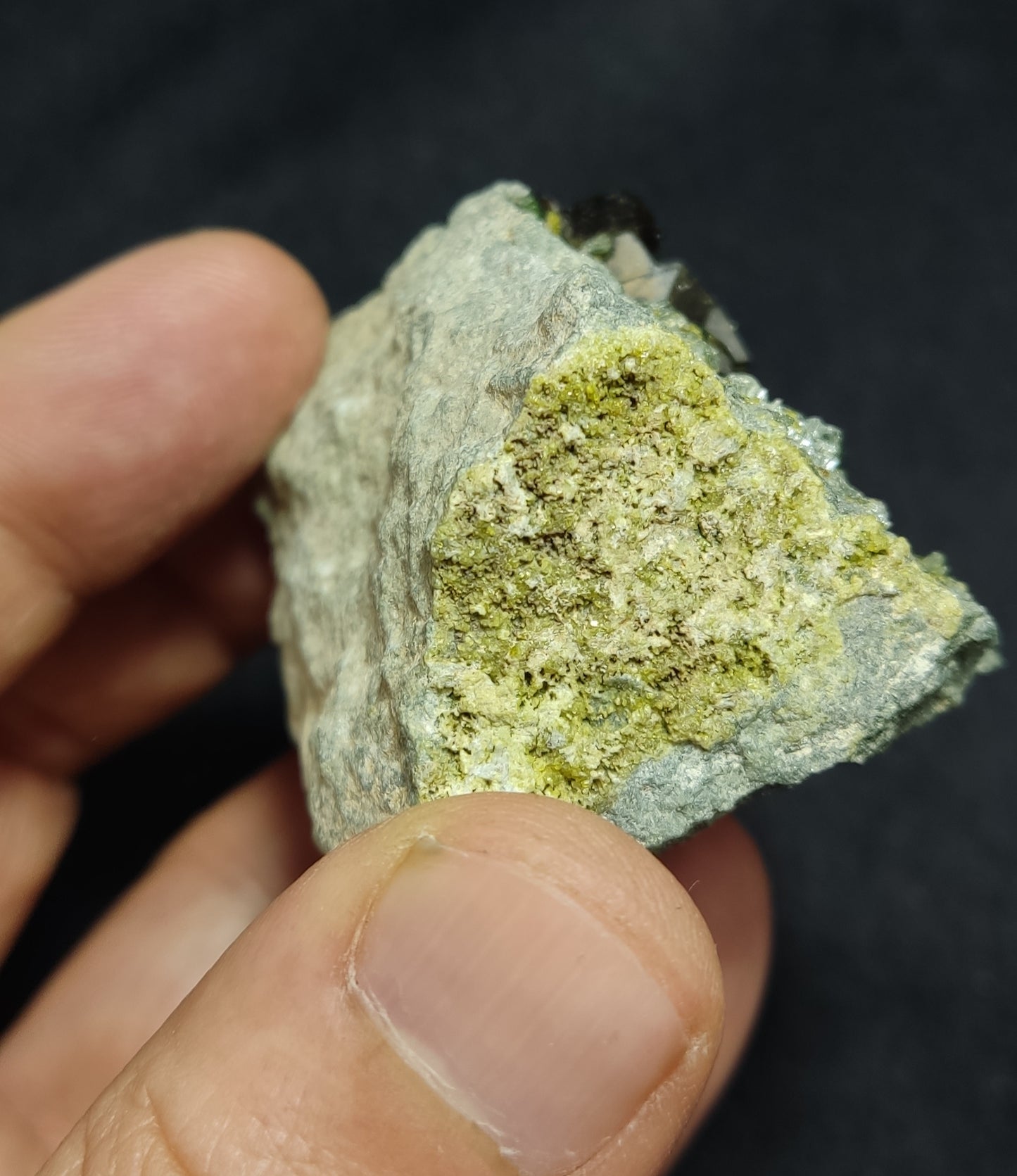 Andradite garnets on matrix with diopside and epidote 128 grams