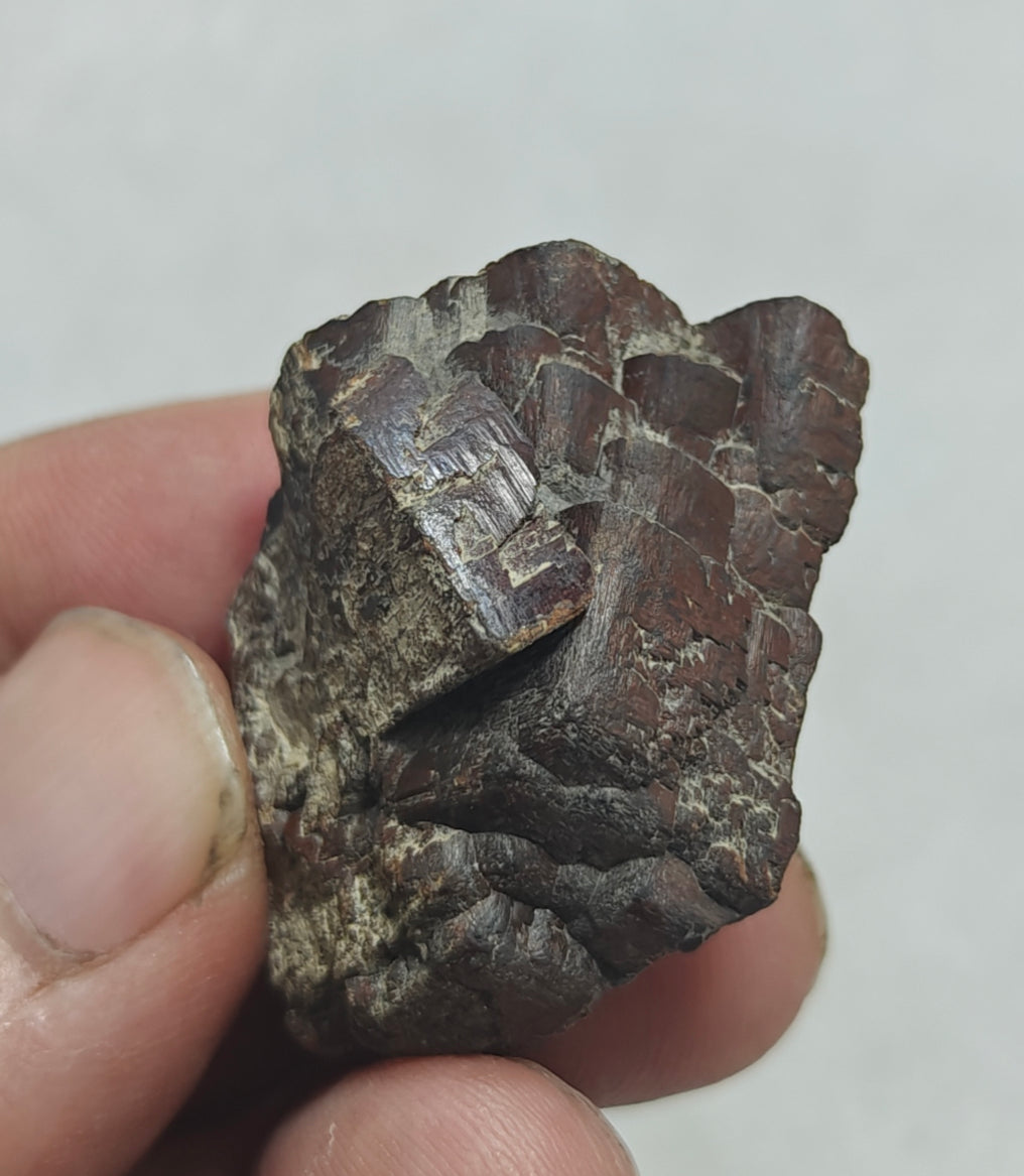 Natural siderite crystal 18 grams