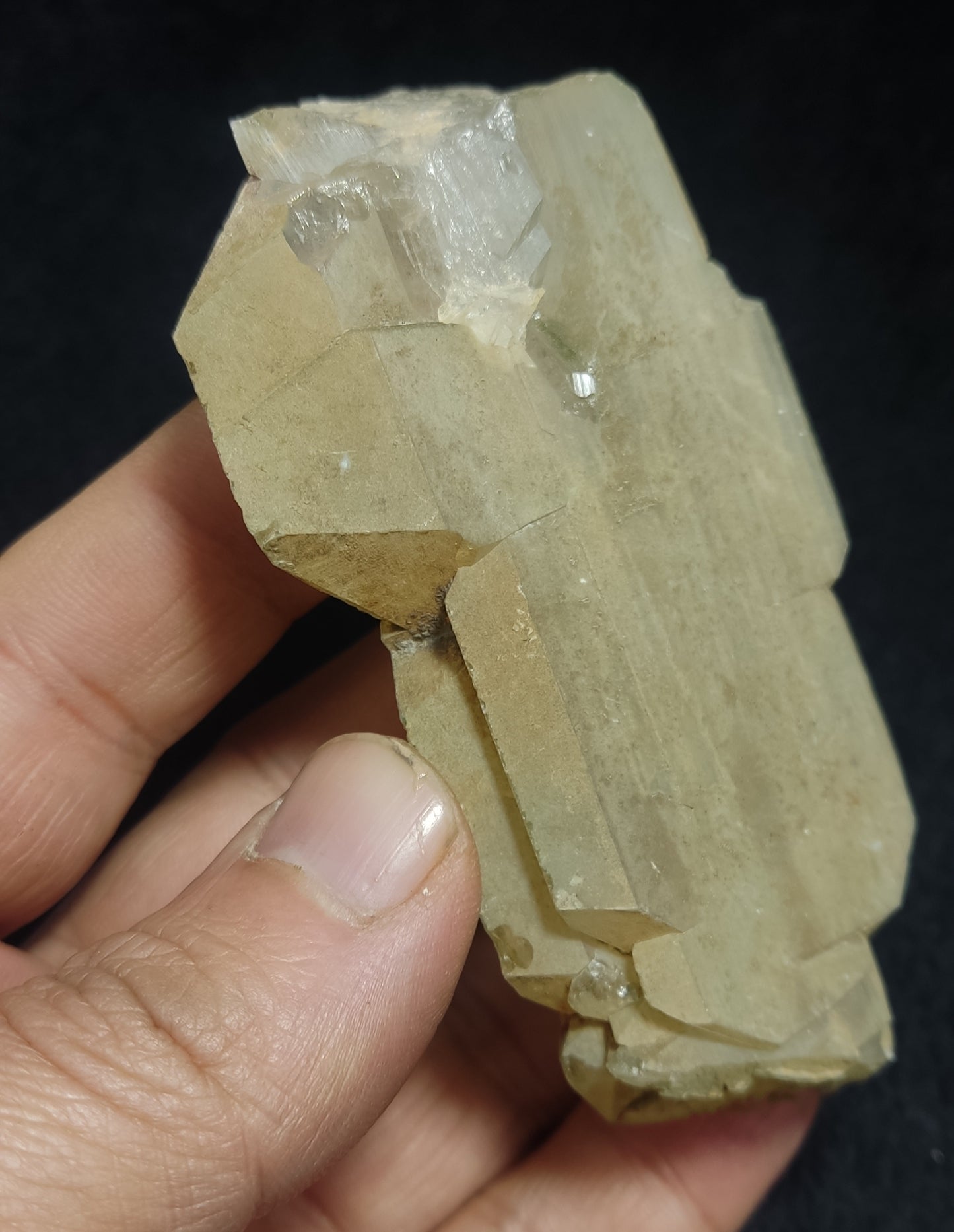 Faden/Chlorite Quartz Crystal 131 grams