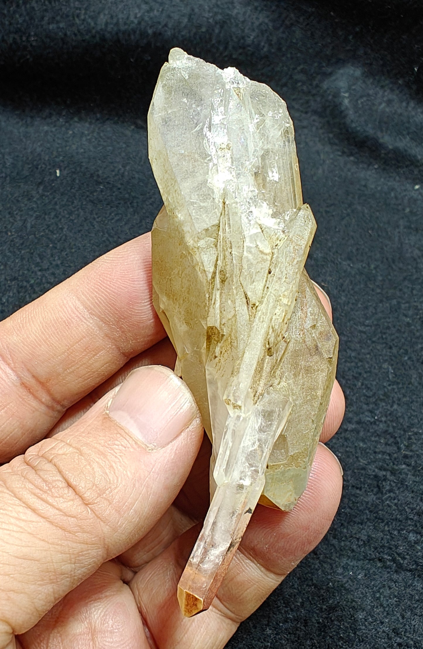 Natural chlorite included scepter like quartz crystal 55 grams