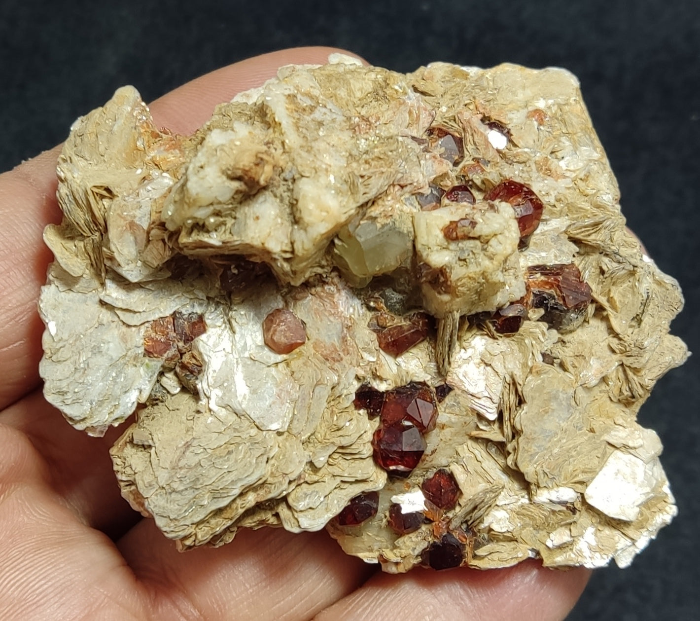 Garnets cluster variety spessartine on muscovite 101 grams
