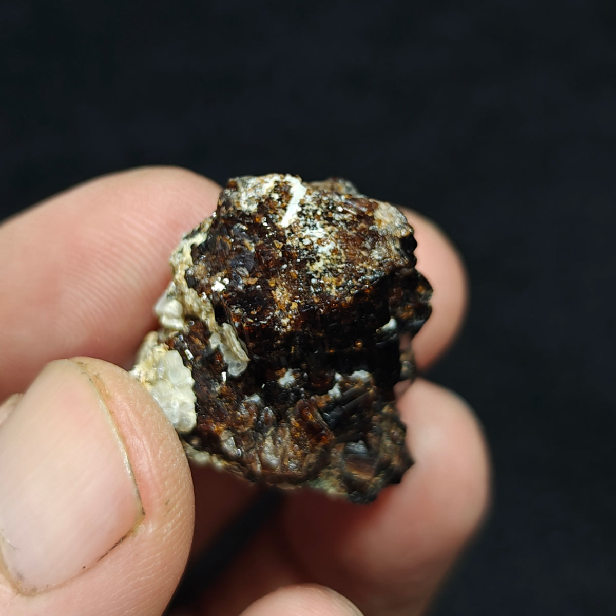 Natural dark brown Vesuvianite 19 grams