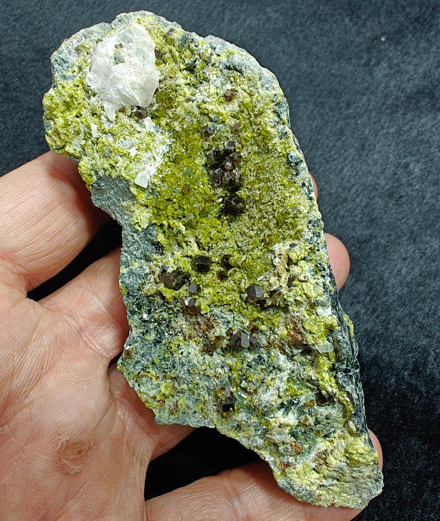 Natural andradite garnets on matrix with epidote 242 grams