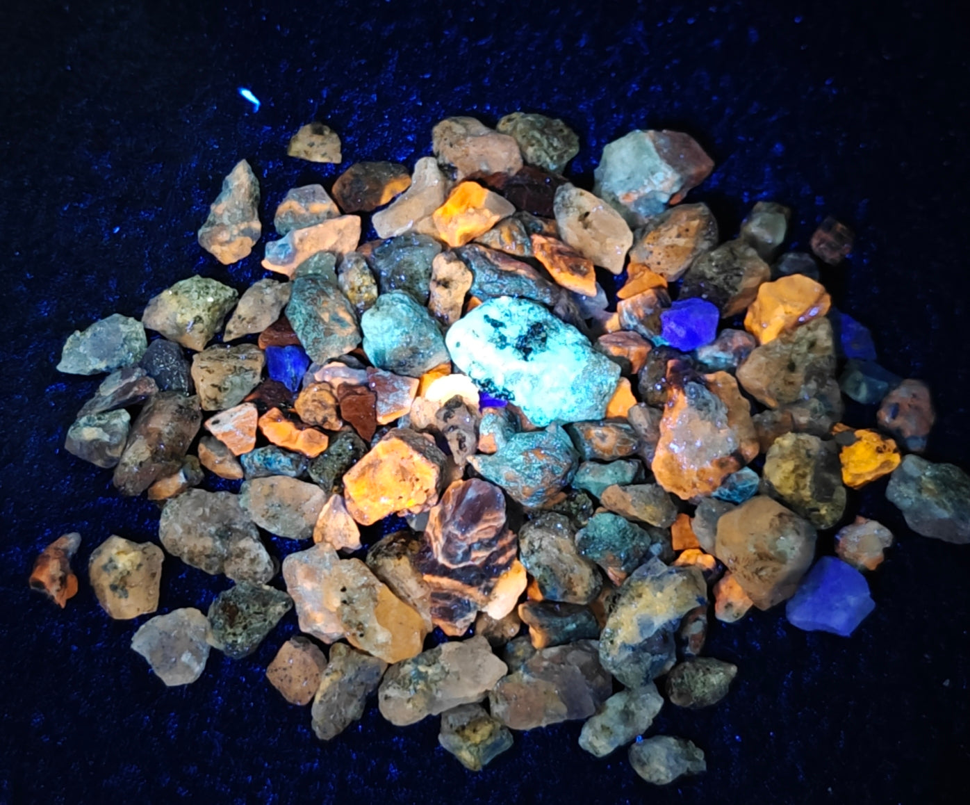 Fluorescent sodalite/Afghanite collection 110 grams