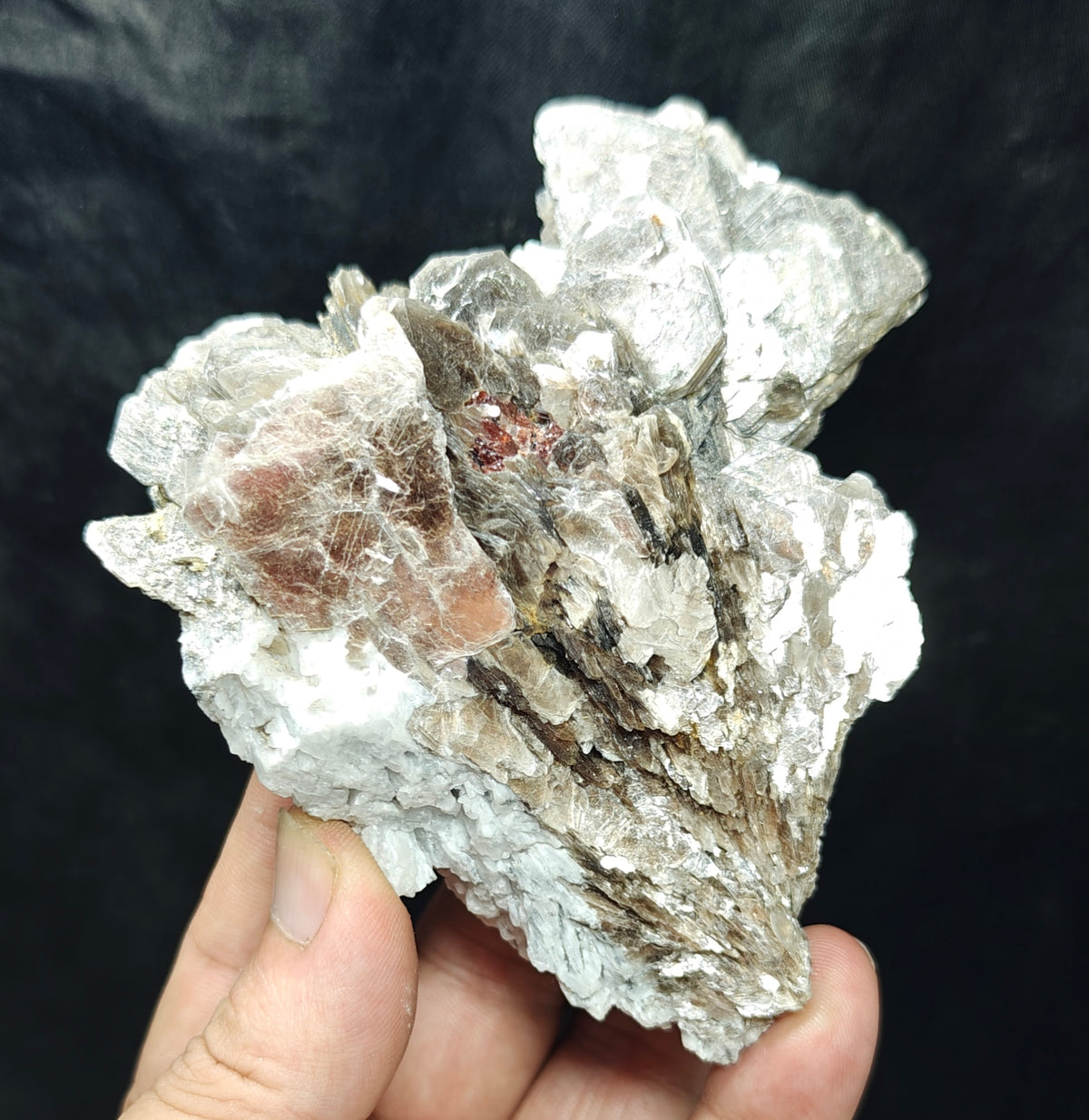 Natural spessartine garnet embedded in muscovite and albite 433 grams