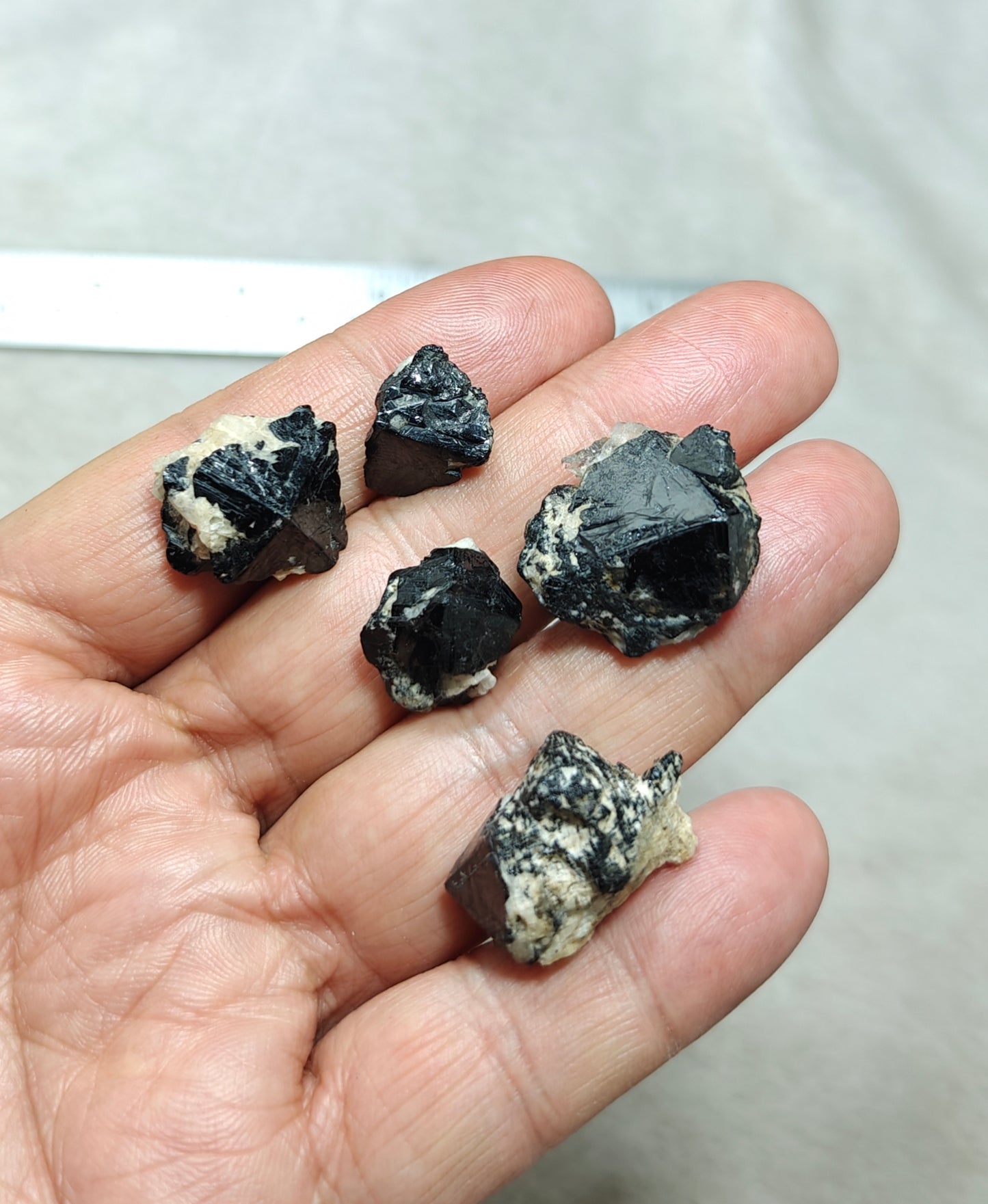 Collection of 5 cassiterite crystals 57 grams total weight