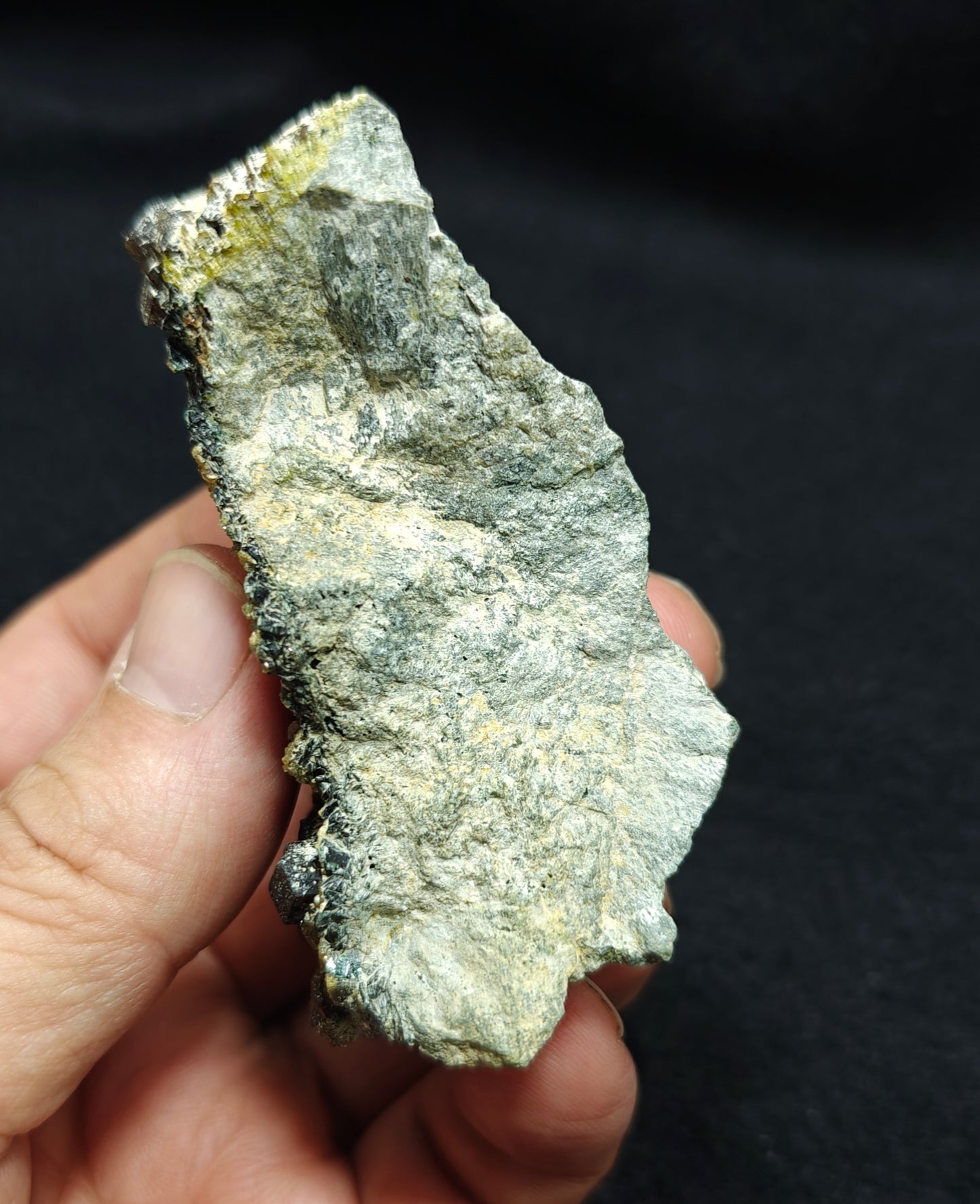 Andradite garnets on matrix with clinochlore 175 grams