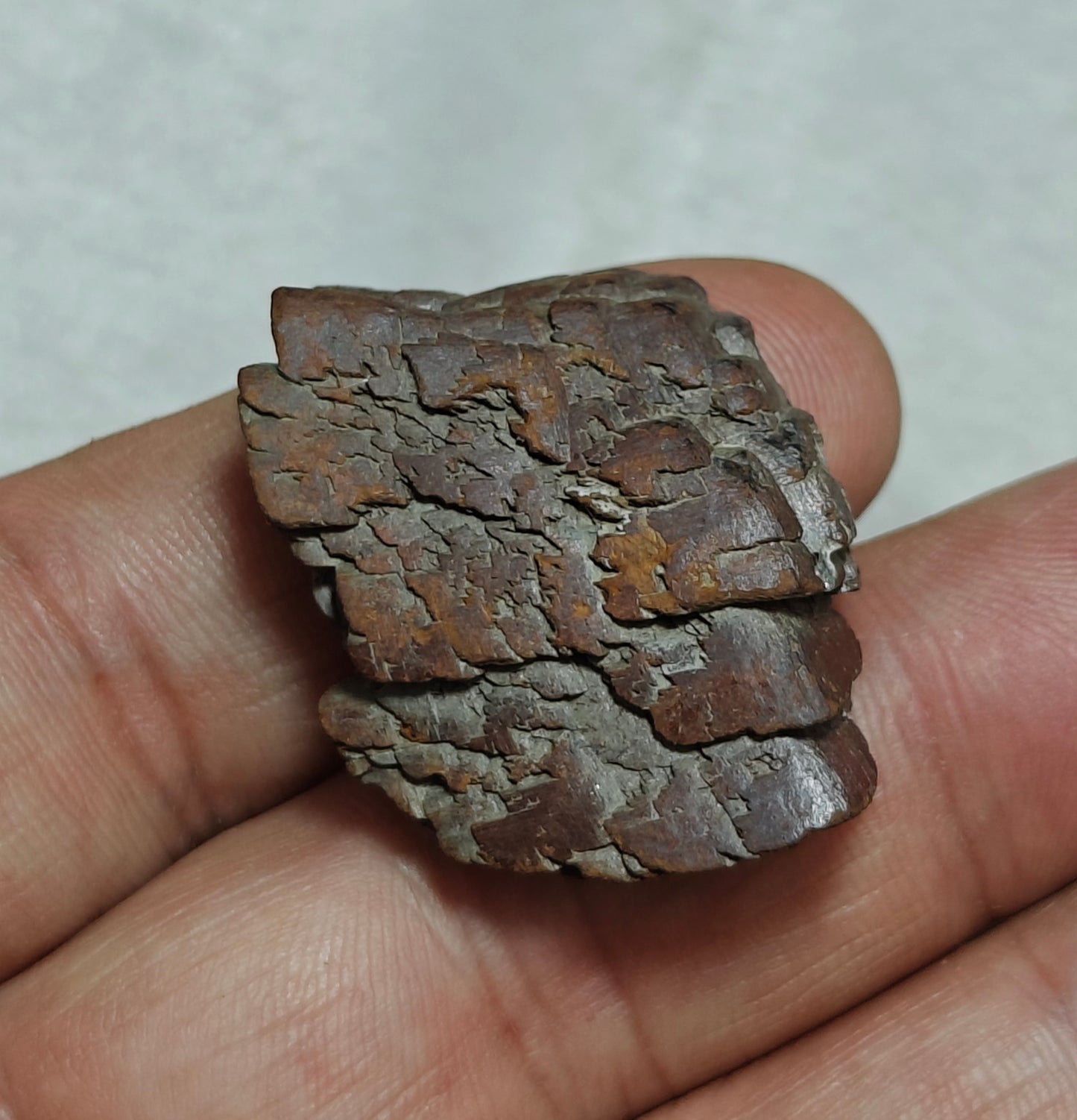 Natural siderite specimen 12 grams