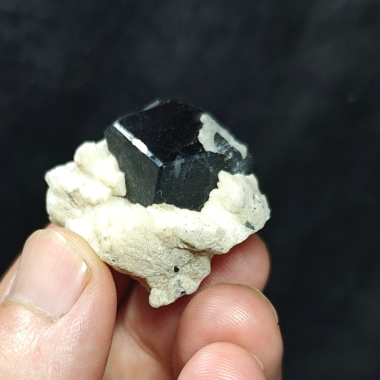 Natural Tourmaline crystal specimen with associated albite 29 grams