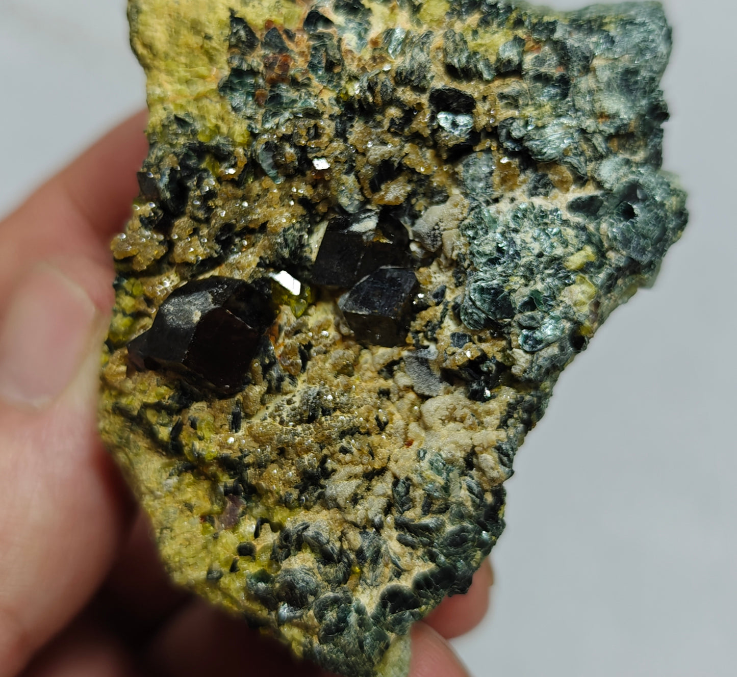 Andradite garnets on matrix with clinochlore 120 grams