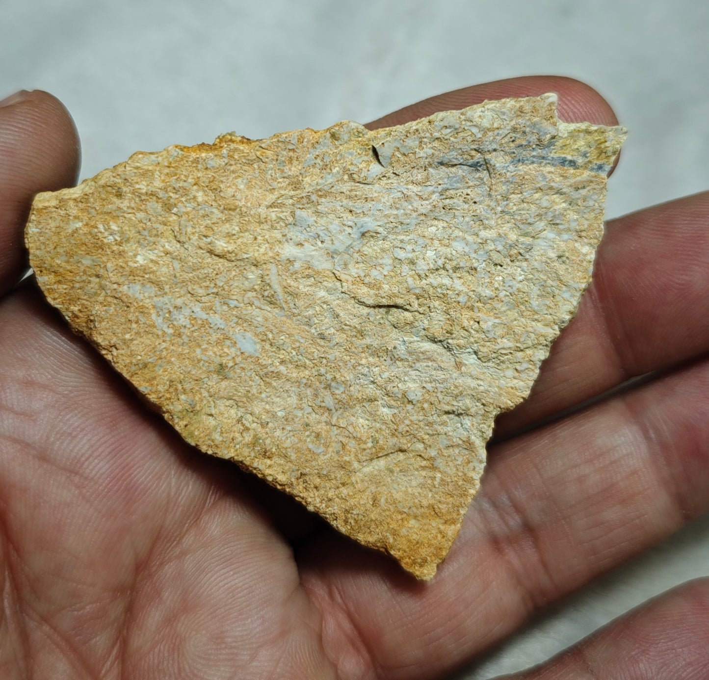 Natural Garnets variety hessonite on matrix 50 grams