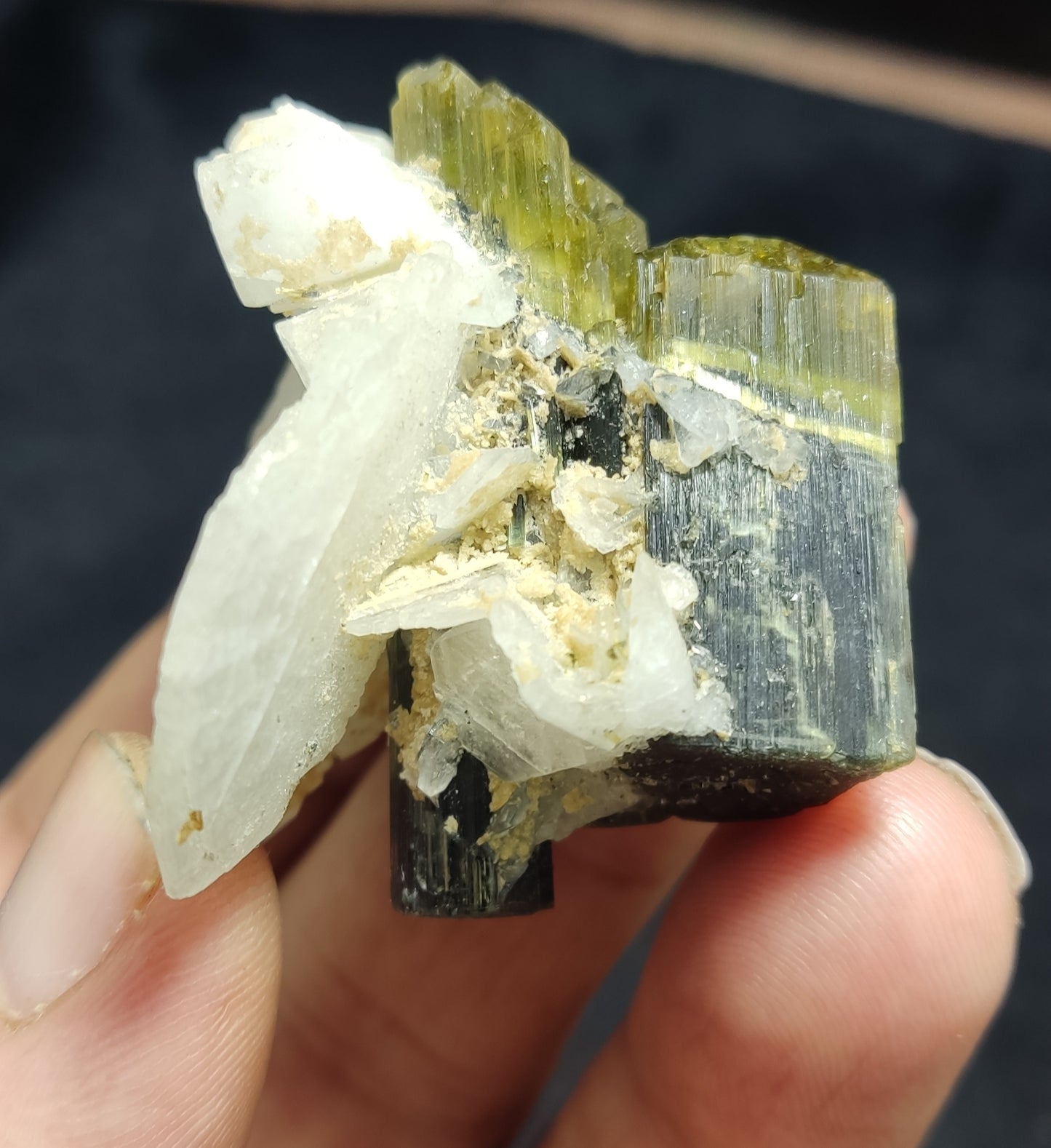 Natural Bicolor Tourmaline Specimen with Cleavlandite 45 grams