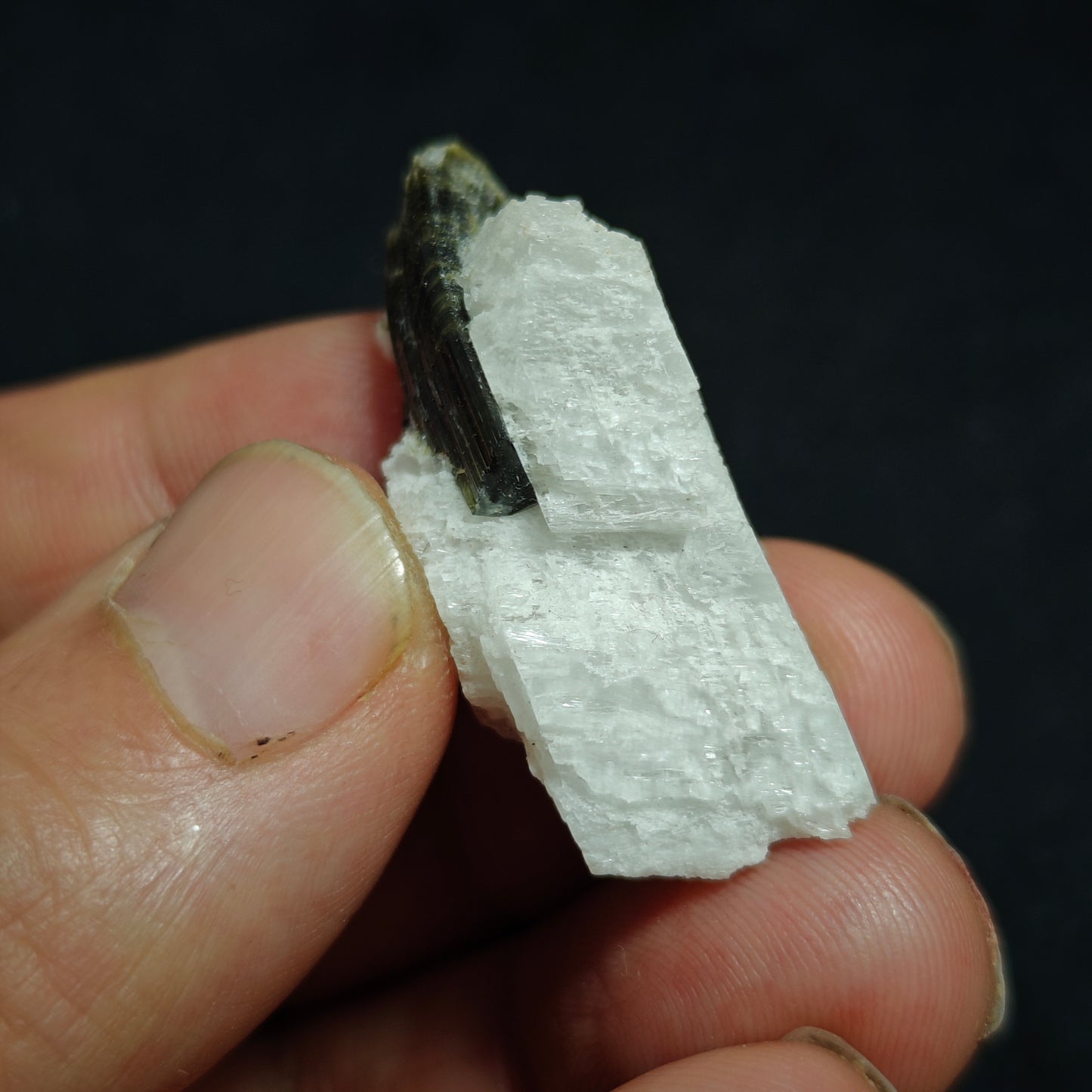 Natural Green Cap Tourmaline in matrix of albite 10 grams