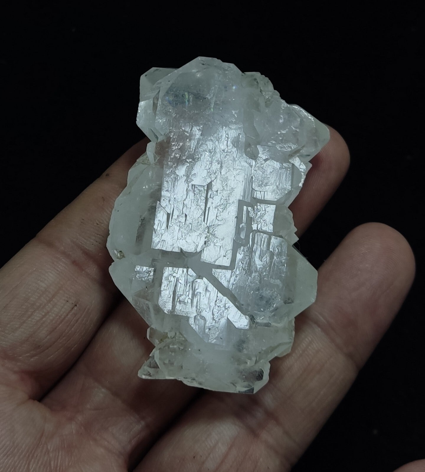 An Aesthetic terminated specimen of Faden Quartz crystal 62 grams