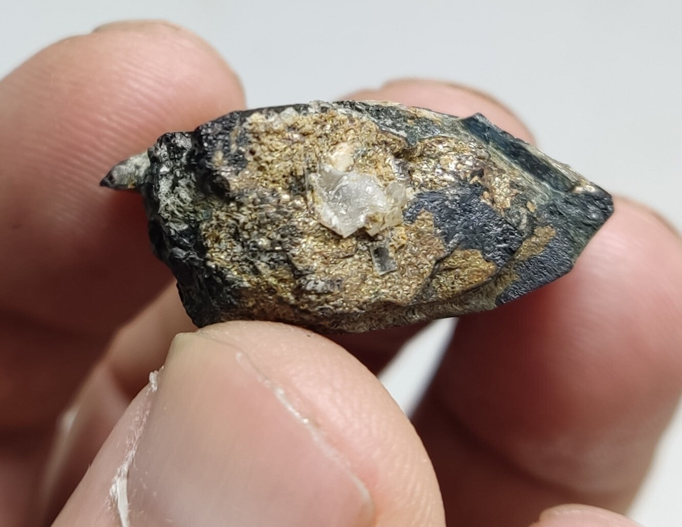 An aesthetic specimen of terminated aegirine crystal 19 grams