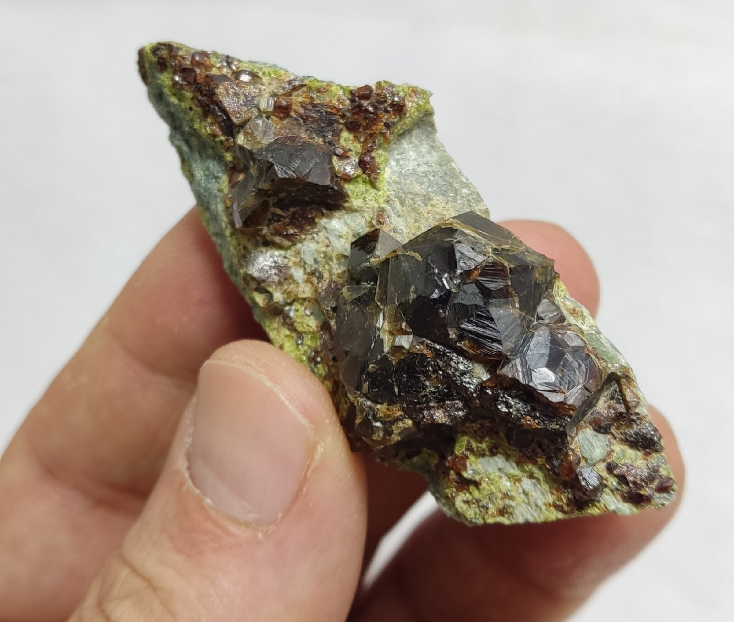 Andradite garnets on matrix with epidote 43 grams