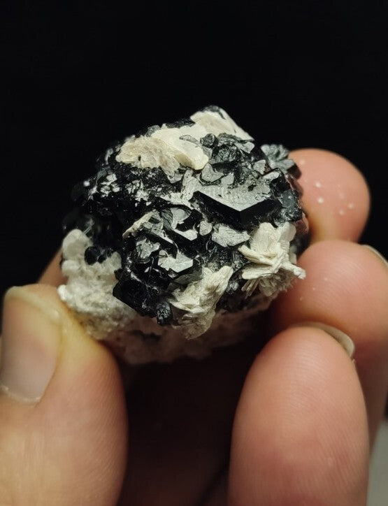 Natural Terminated Black Tourmaline Crystal with Muscovite 42 grams