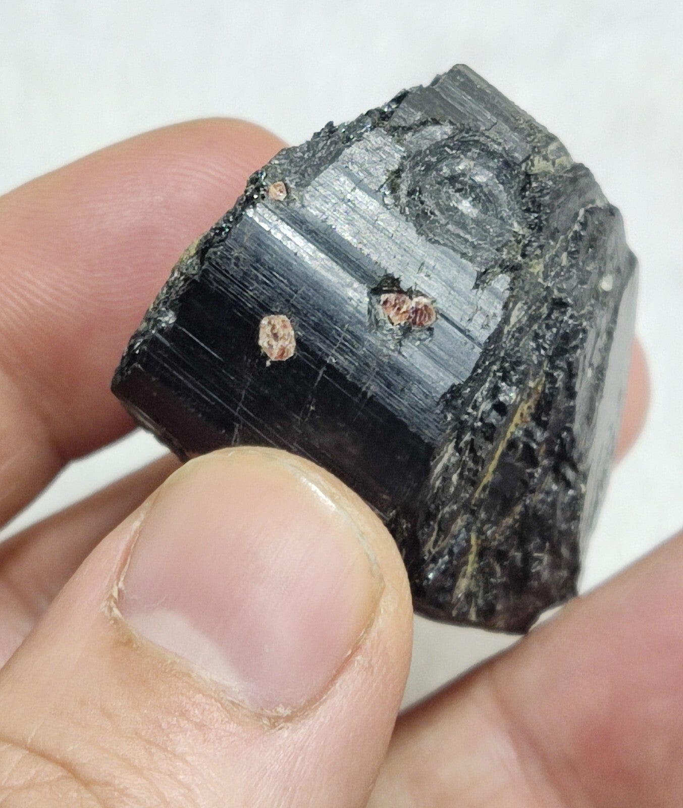 An amazing specimen of terminated black tourmaline 62 grams