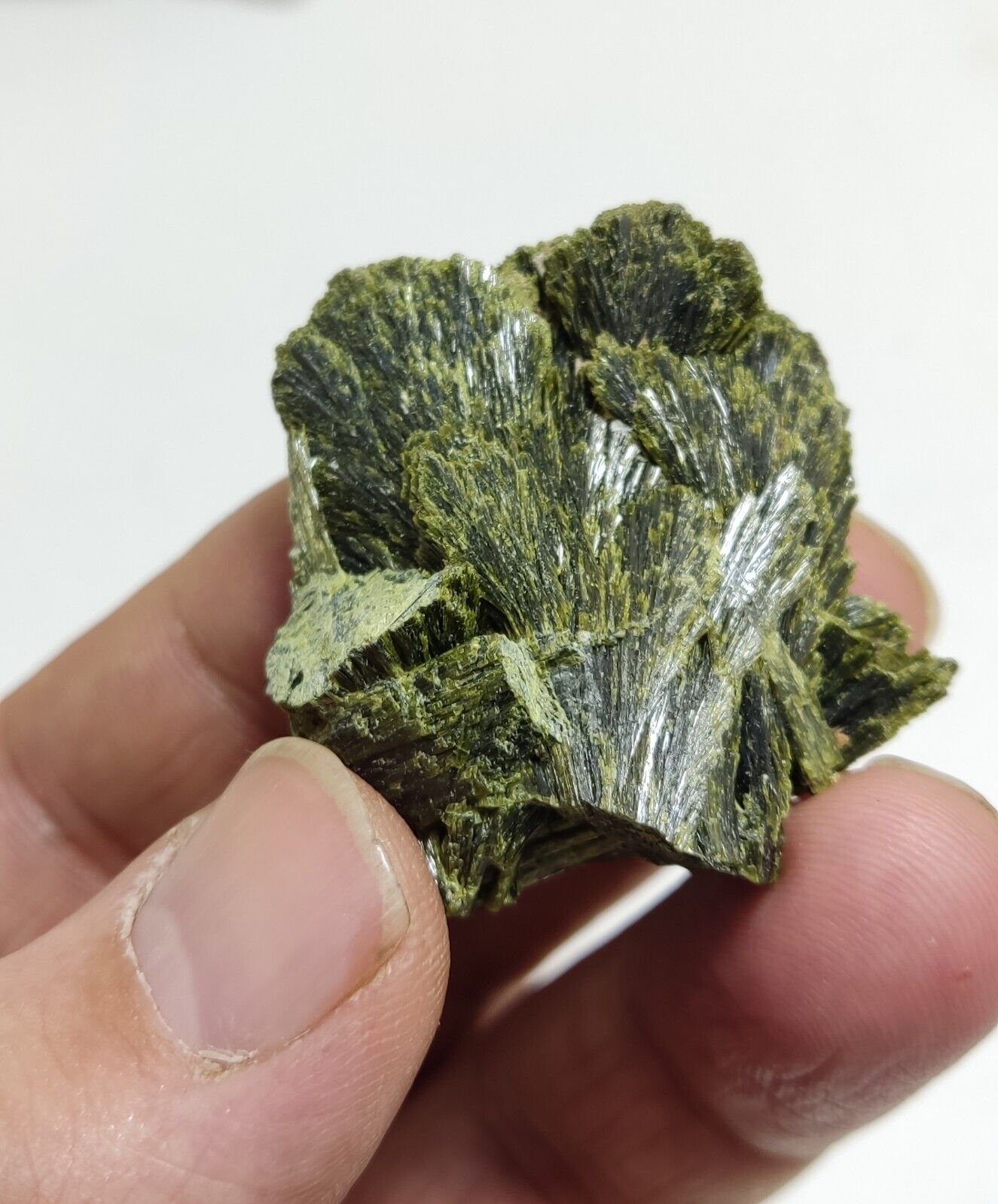 An aesthetic specimen of epidote crystal spray type 31 grams