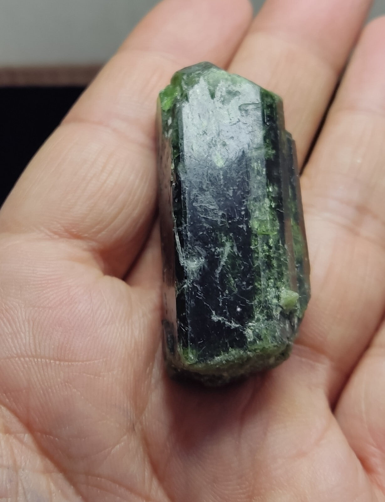 An amazing specimen of diopside crystal 48 grams