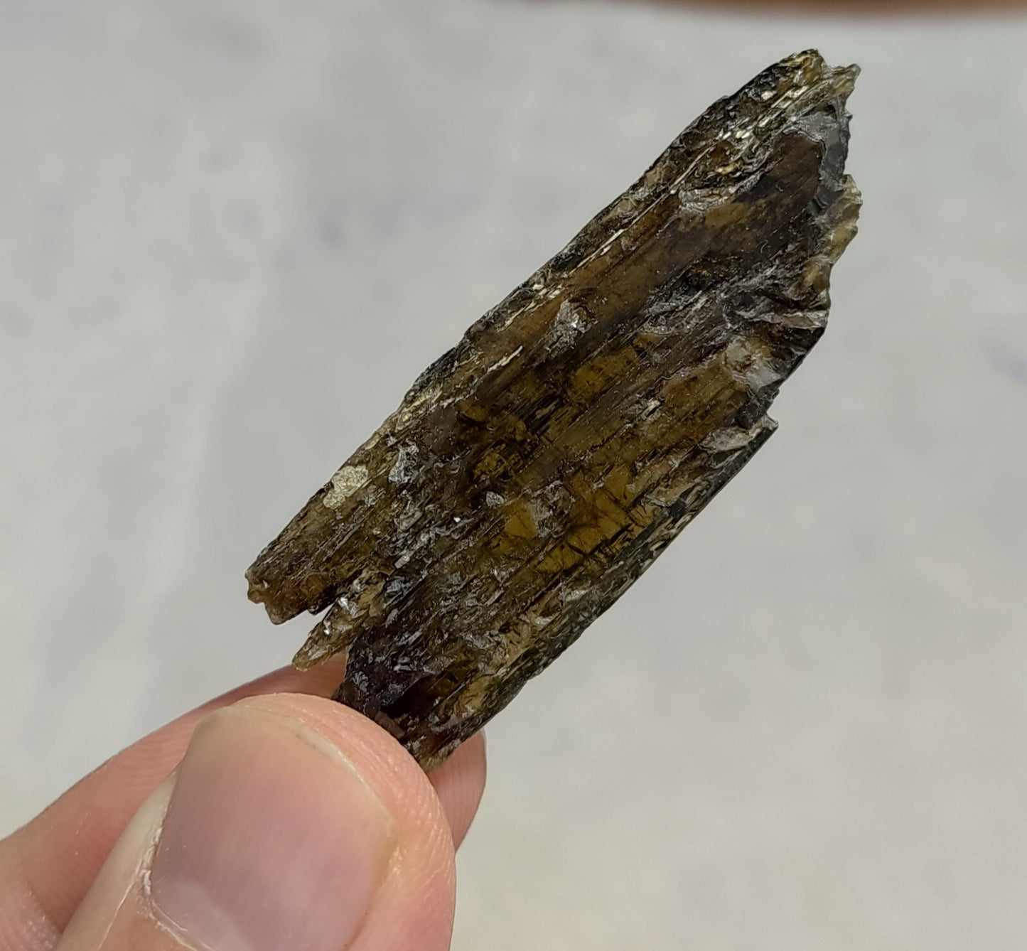 Single etched Epidote Crystal 11 grams