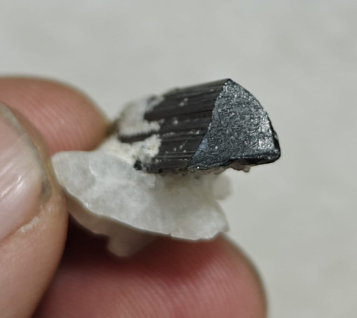 33 Carats Natural Green Cap Tourmaline Crystal With Albite.