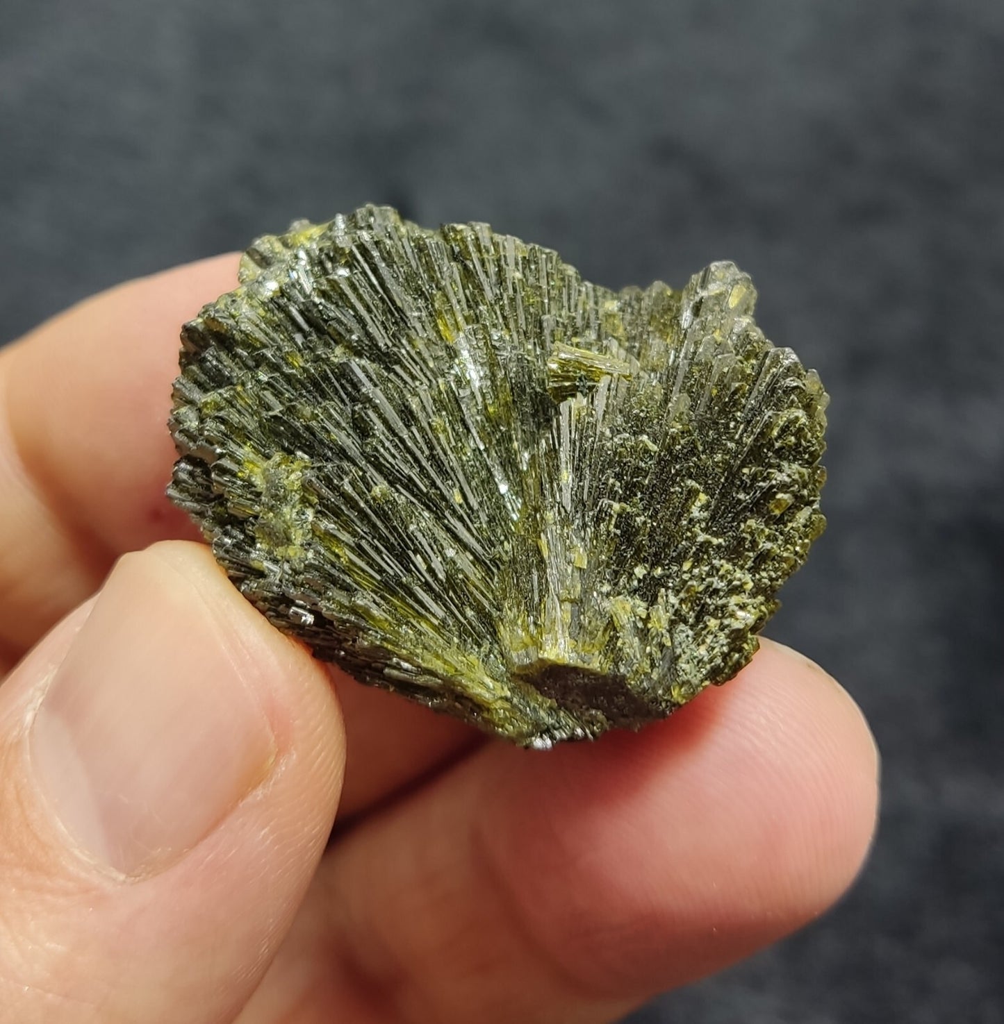 Single natural Epidote Crystal spray formations 22 grams