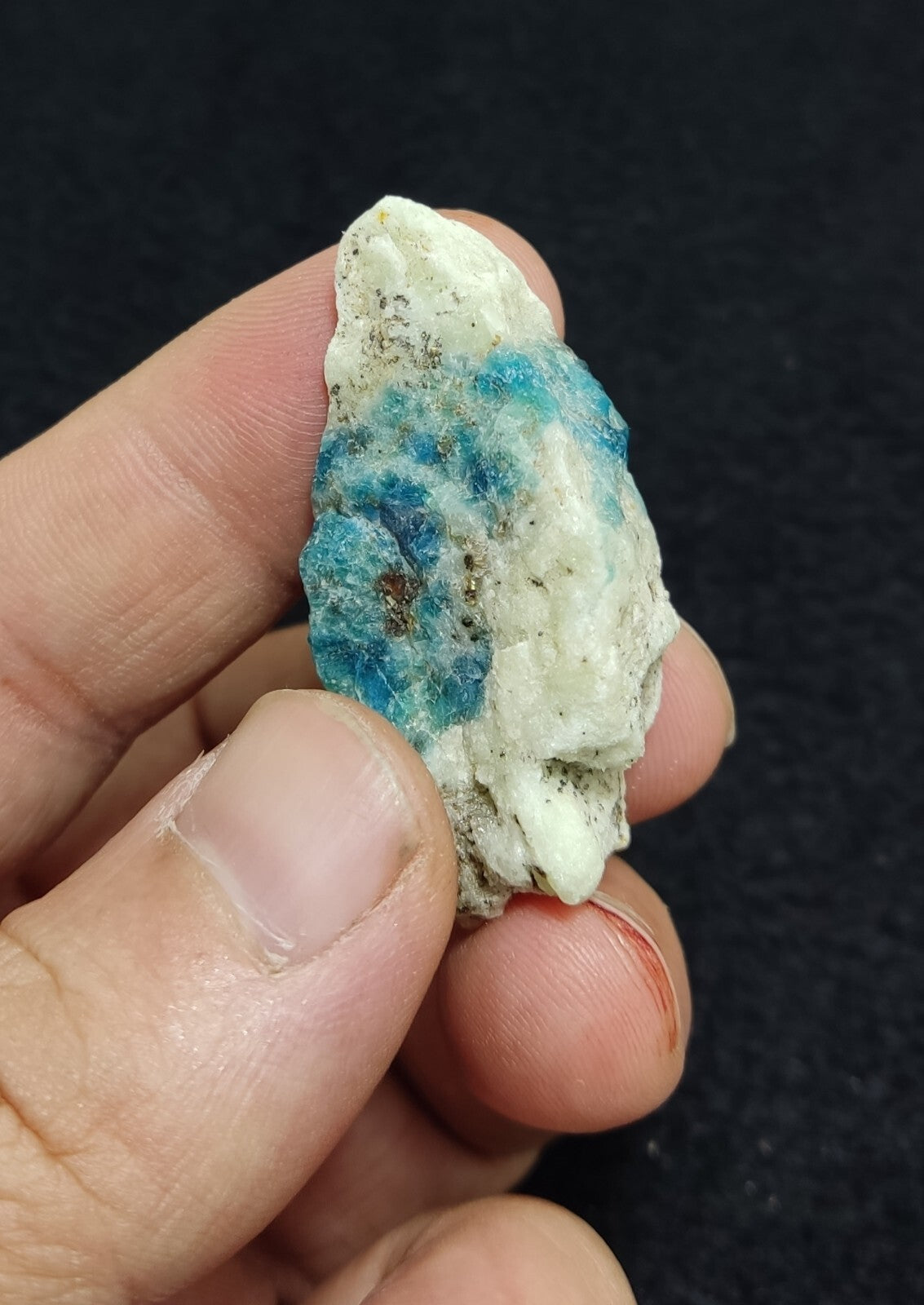 An Aesthetic specimen of lazurite on matrix with pyrite 19 grams