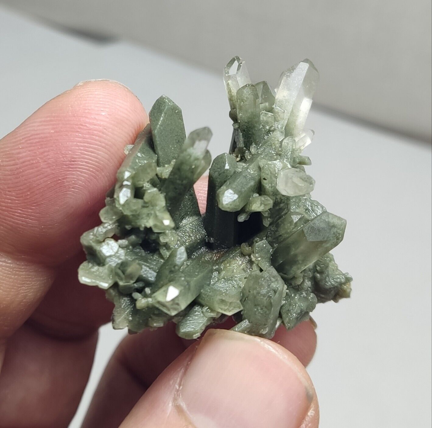 An Aesthetic miniature/thumbnail terminated chlorite Quartz cluster 15 grams