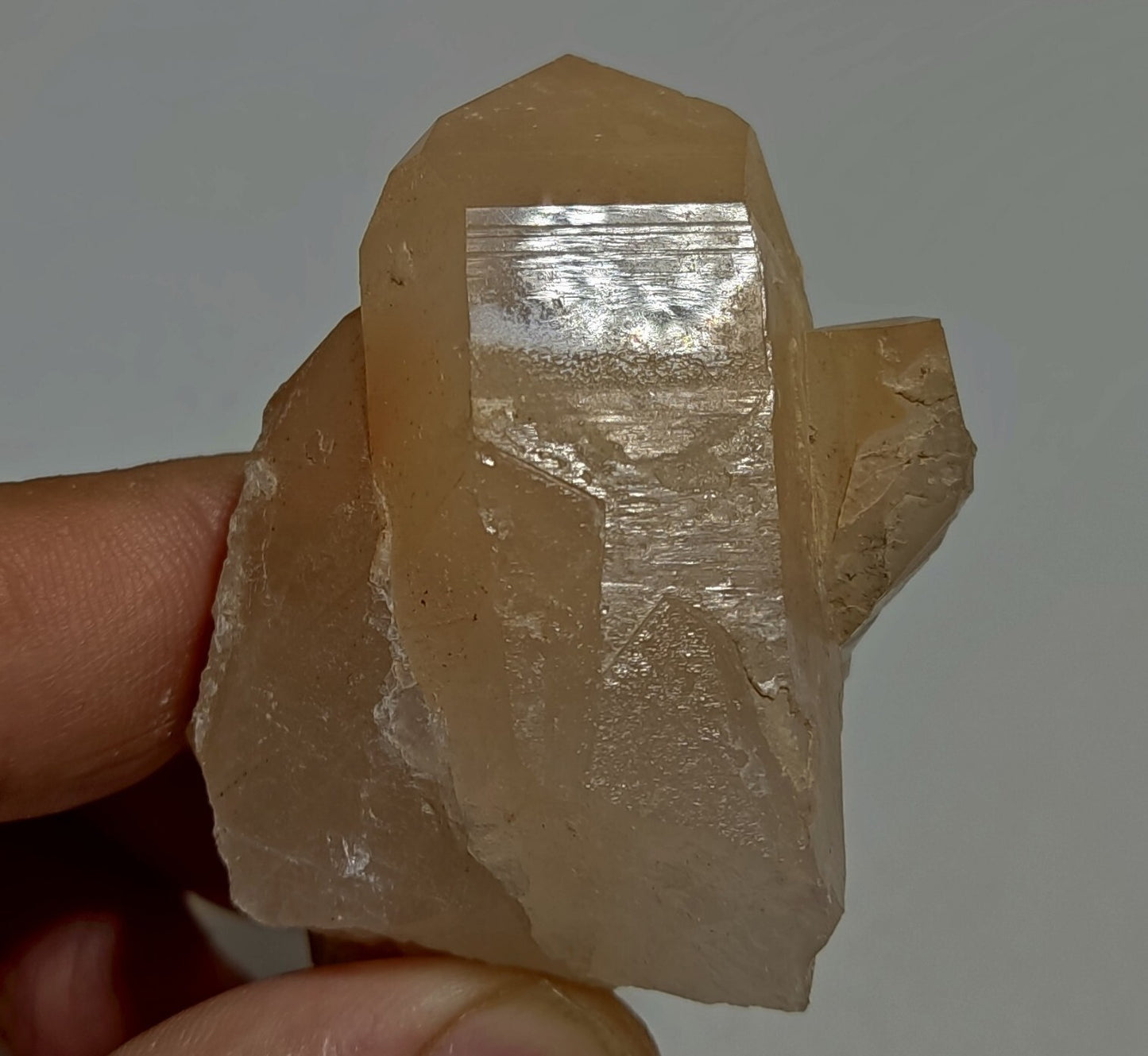 Amphibole included Quartz crystal 88 Grams