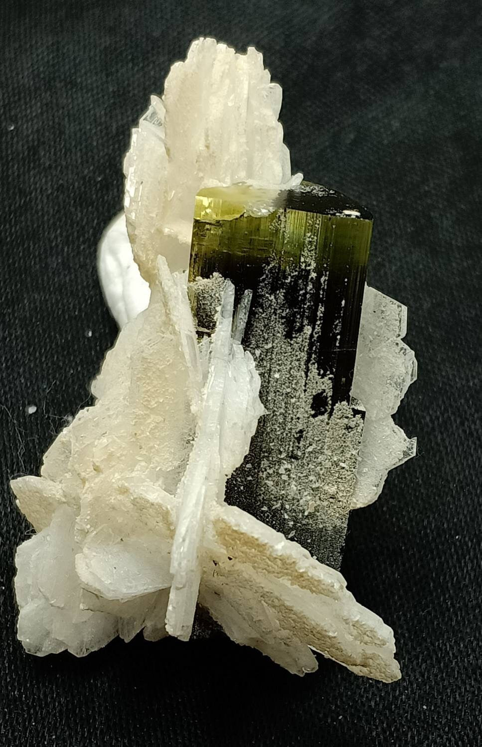 An amazing specimen of multicolor Tourmaline with associated flower like albite formations 18 grams