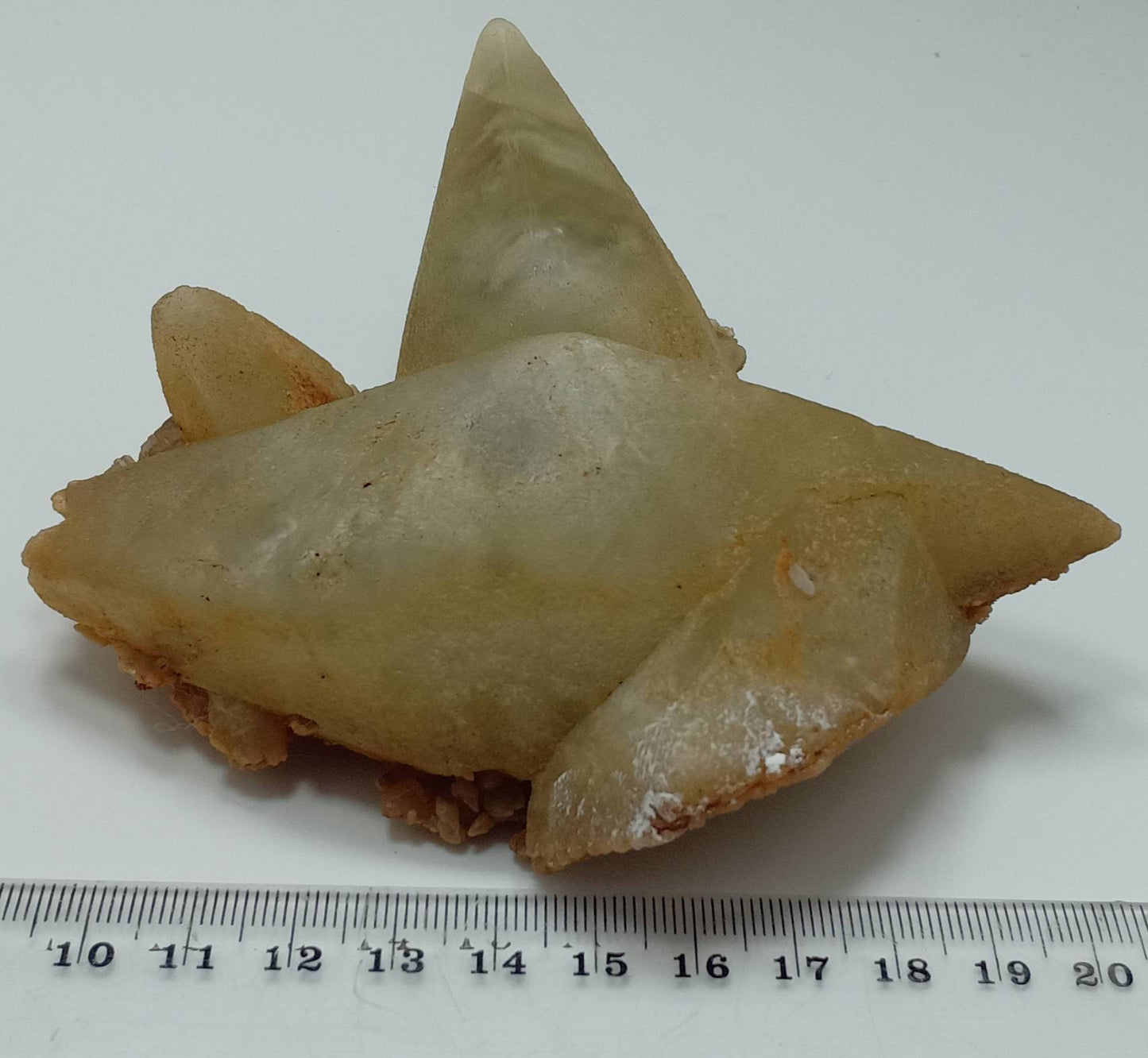 Single beautiful Dogteeth calcite crystals cluster with beautiful terminations 415 grams