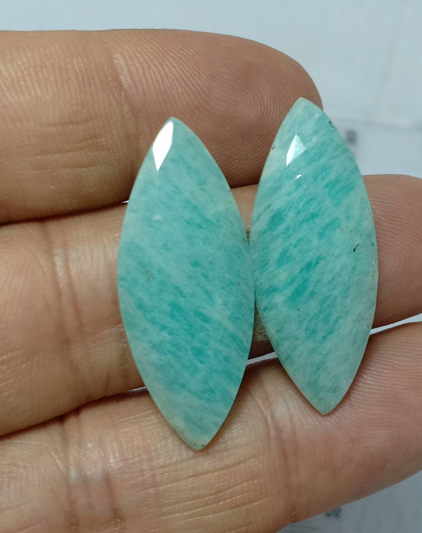 An amazing pair of Amazonite rose cut pair 28 carats