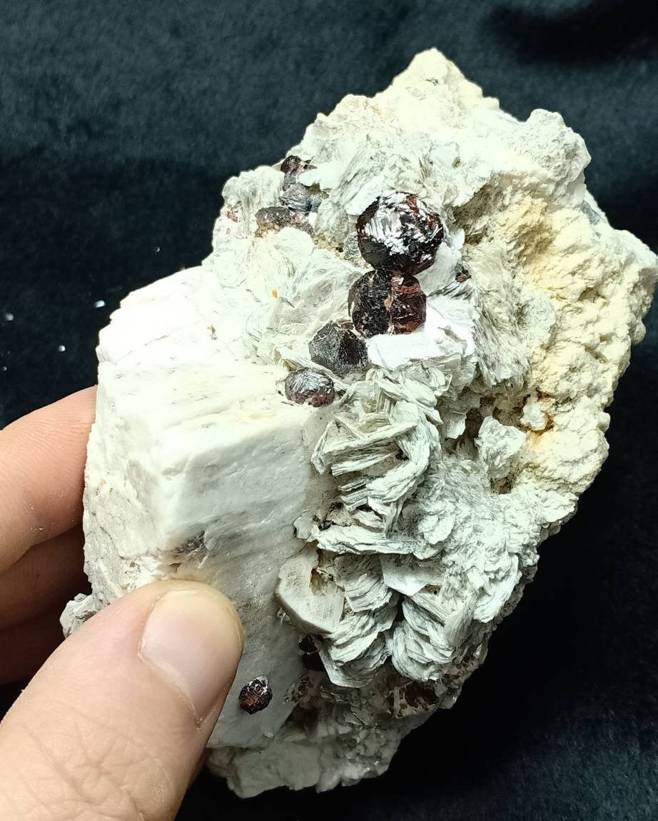 An amazing beautifully terminated specimen of spessartine Garnet crystals on matrix with Feldspar and mica 971 grams