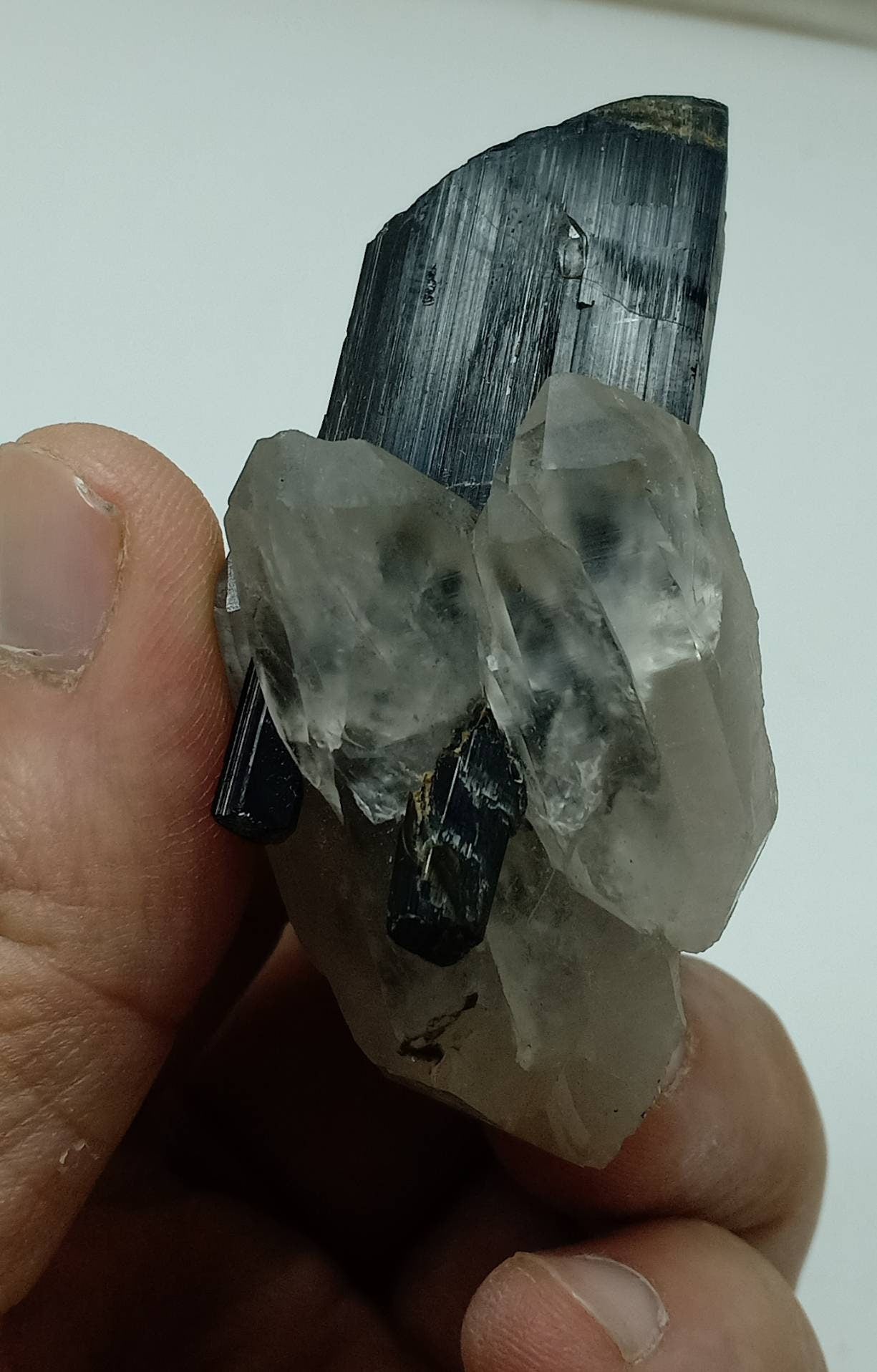 An Aesthetic Natural black Tourmaline crystal nested in terminated quartz crystals 77g