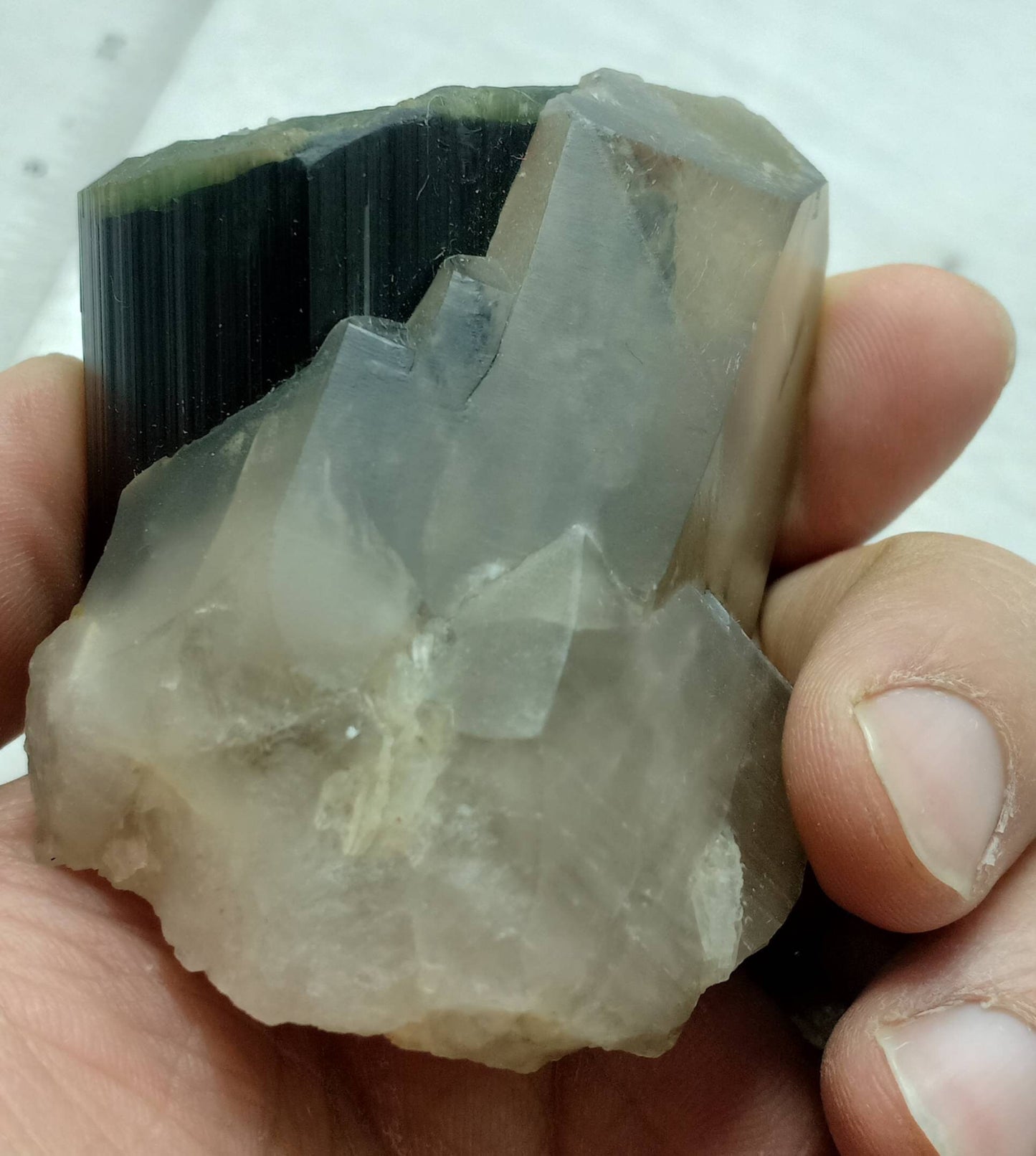 green cap and bottom Tourmaline crystal with smoky quartz 212 grams
