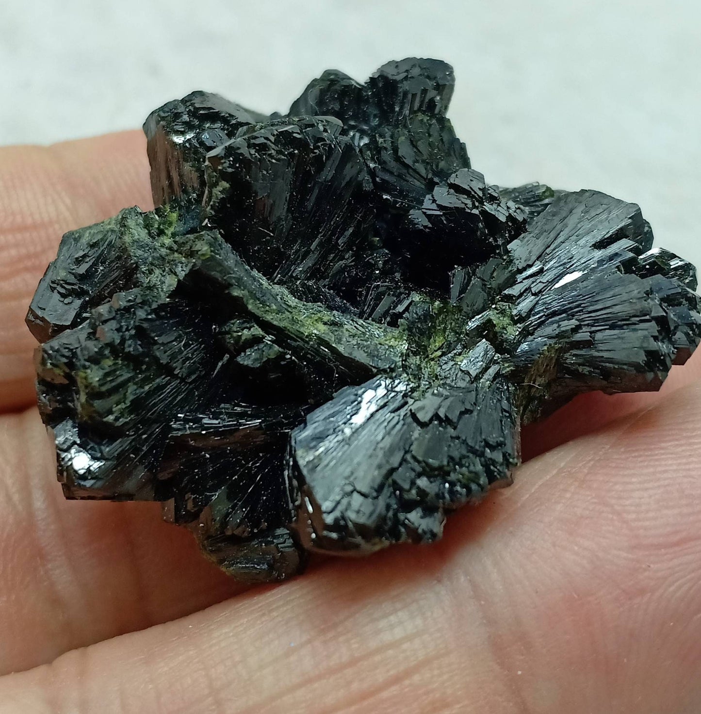 Bow tie Epidote spray cluster with beautiful terminations 28 grams