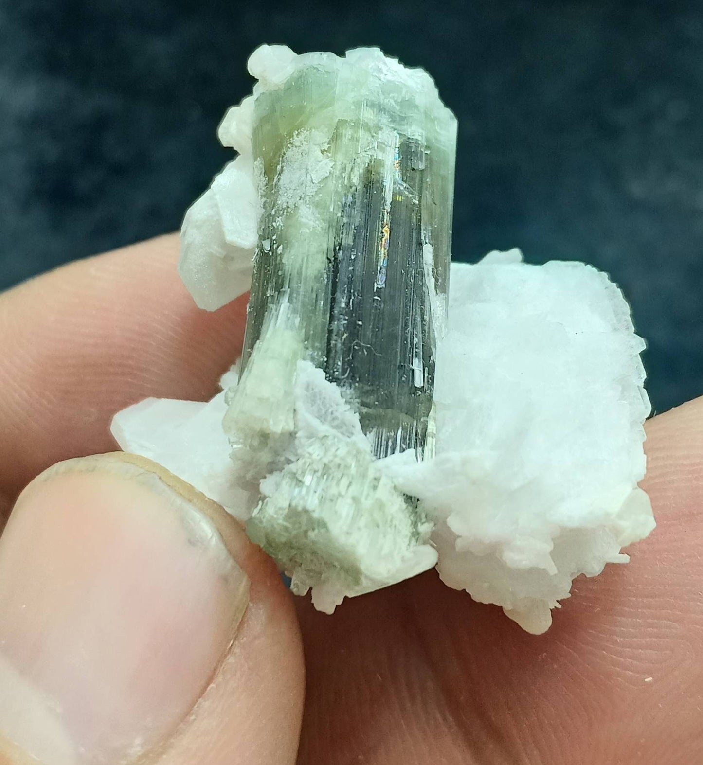 Natural dark green Tourmaline crystal and associated cleavlandite 10 grams