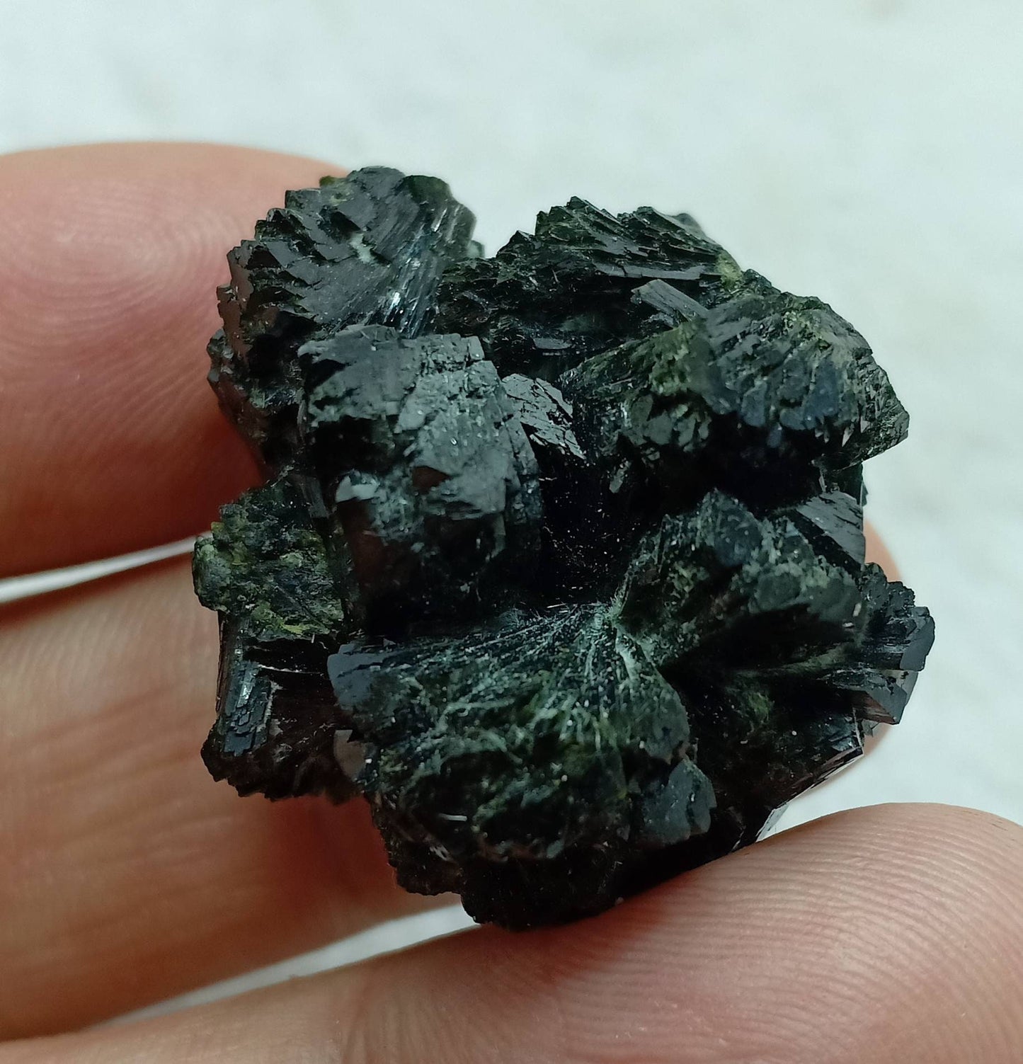 Bow tie Epidote spray cluster with beautiful terminations 23 grams