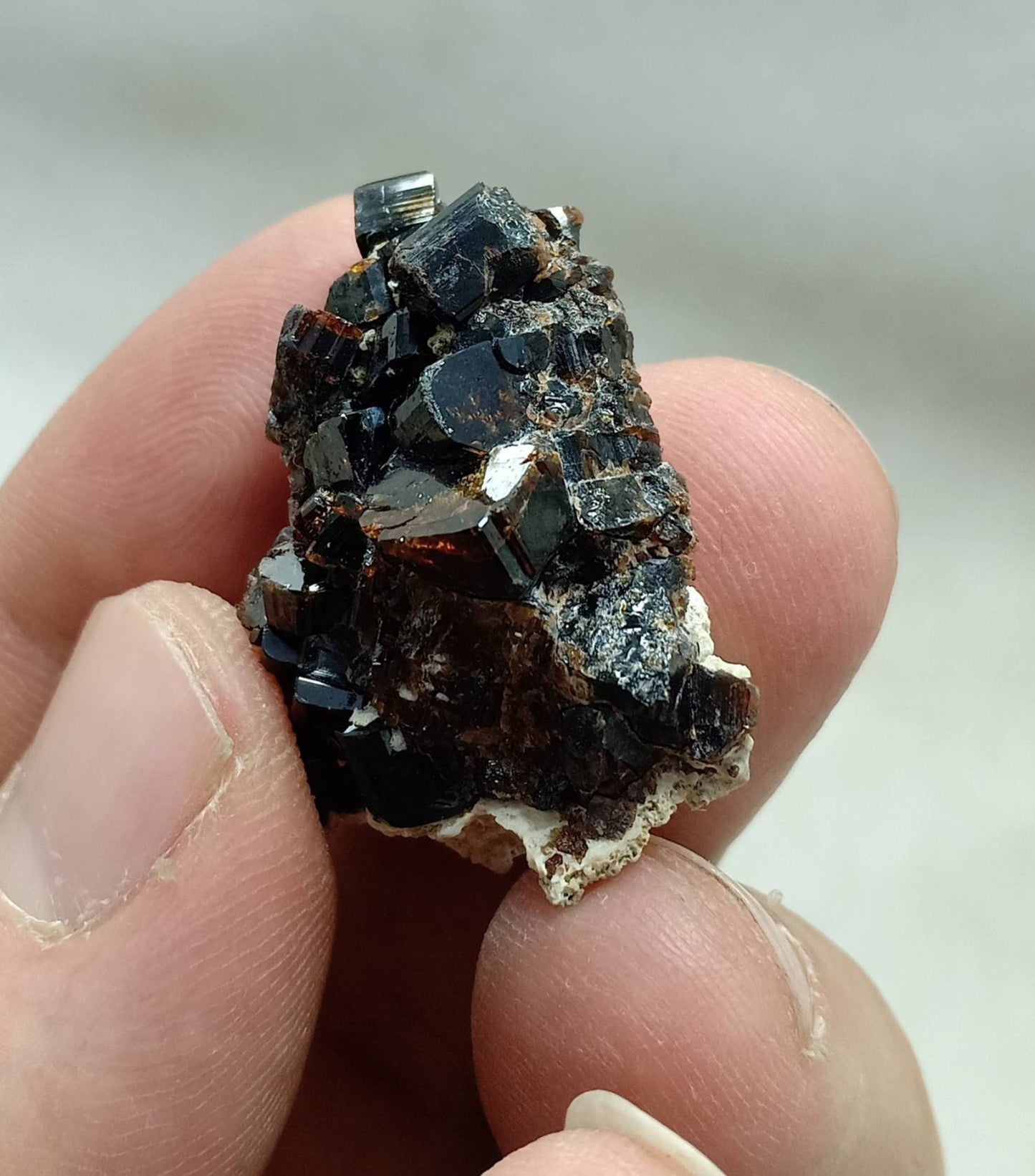 An amazing highly lusterous crystal specimen of dark brown Vesuvianite 12 grams
