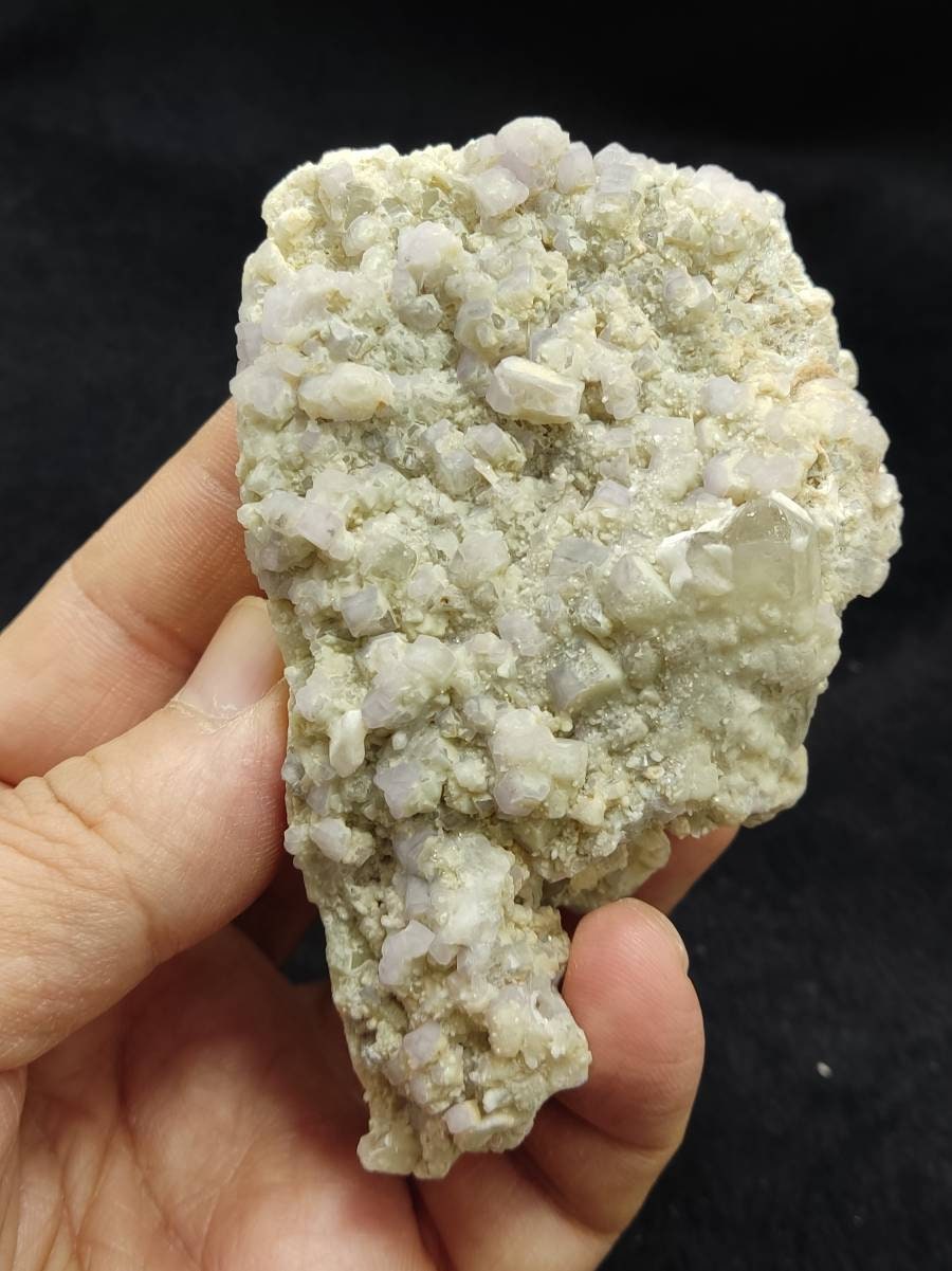 An amazing specimen of light purple Apatite crystals on matrix with quartz 188 grams