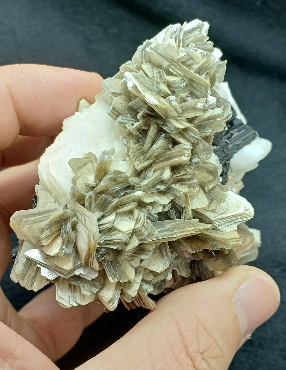 An Aesthetic Natural specimen of book like Muscovite, with etched Schorl and Albite 400 grams