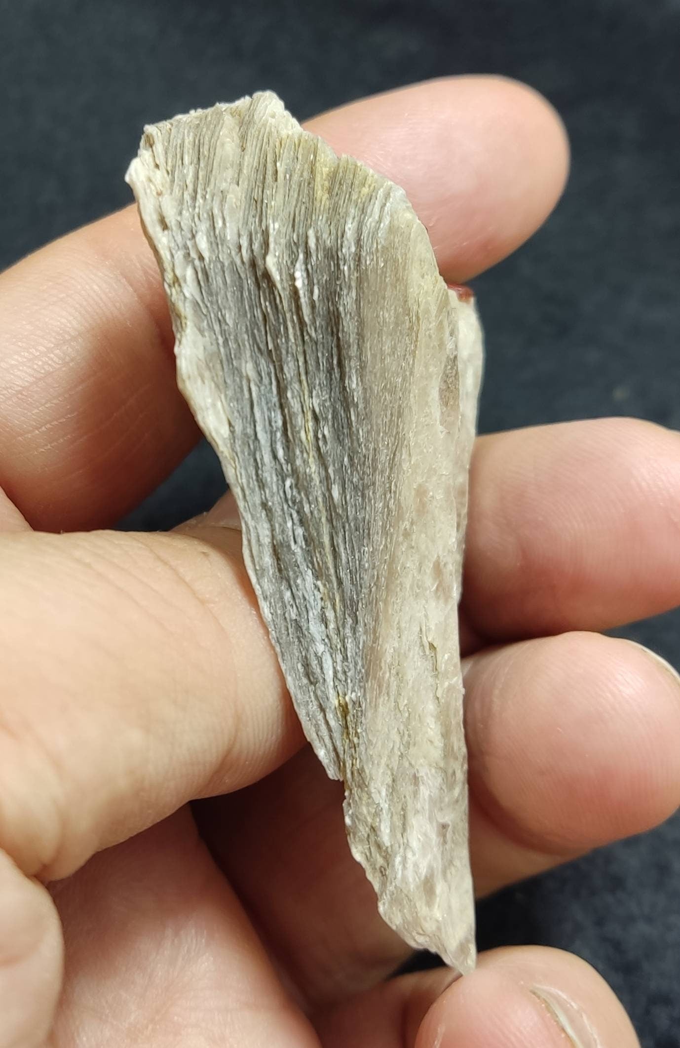 Spessartine garnet embedded in muscovite 30g