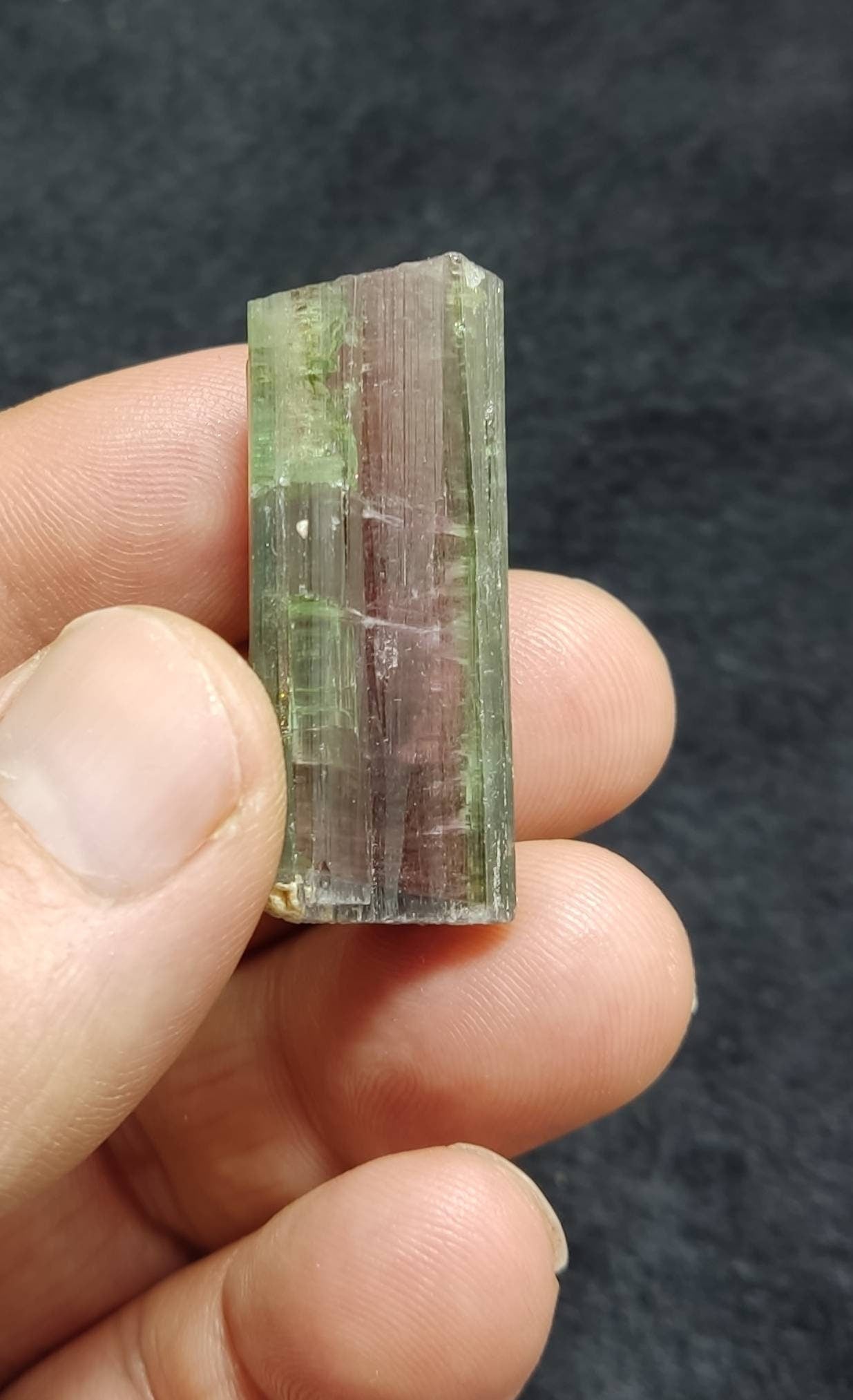 Watermelon color terminated Tourmaline crystal 17 grams