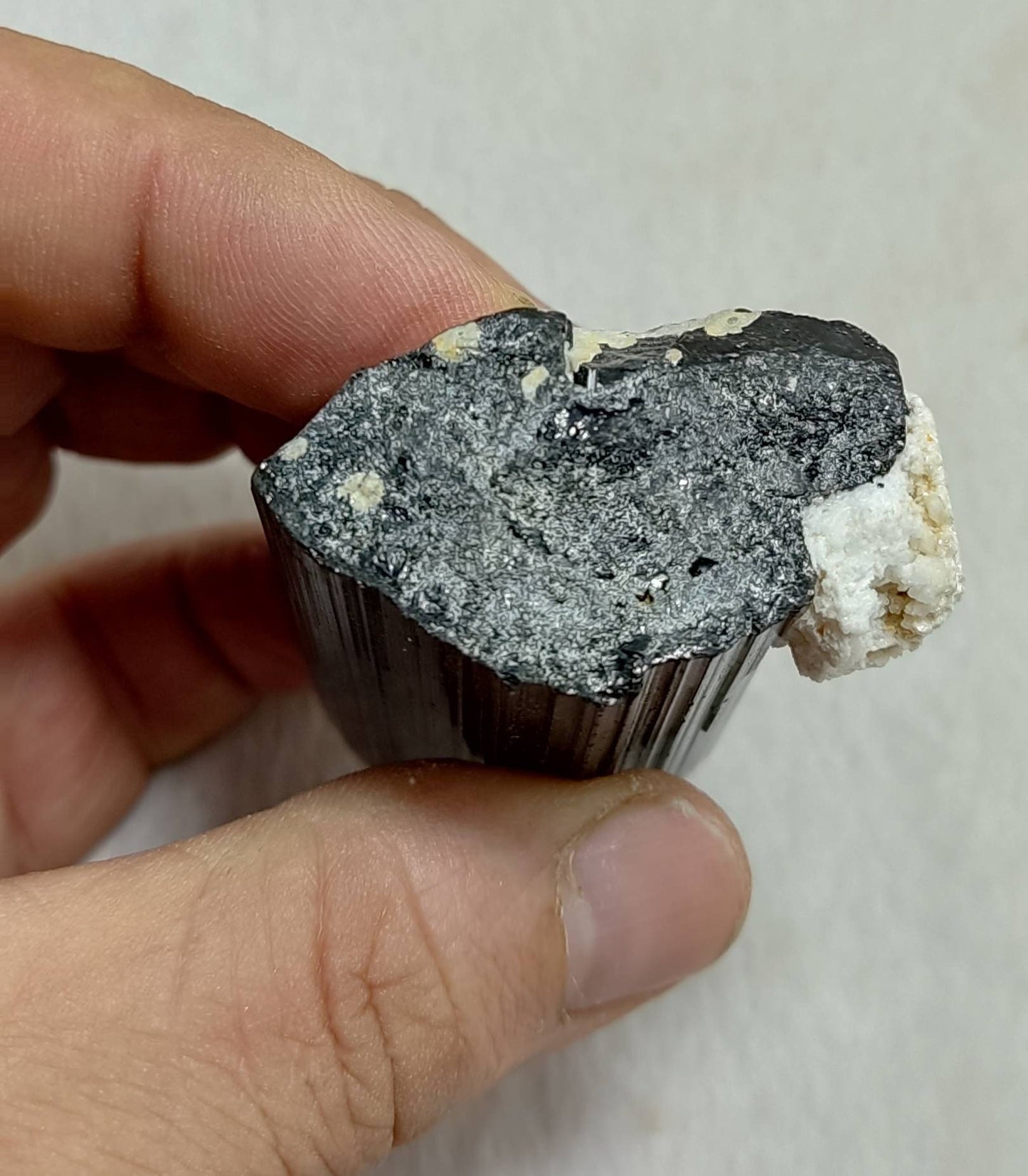 Black Tourmaline crystal with Albite attachment 144 grams