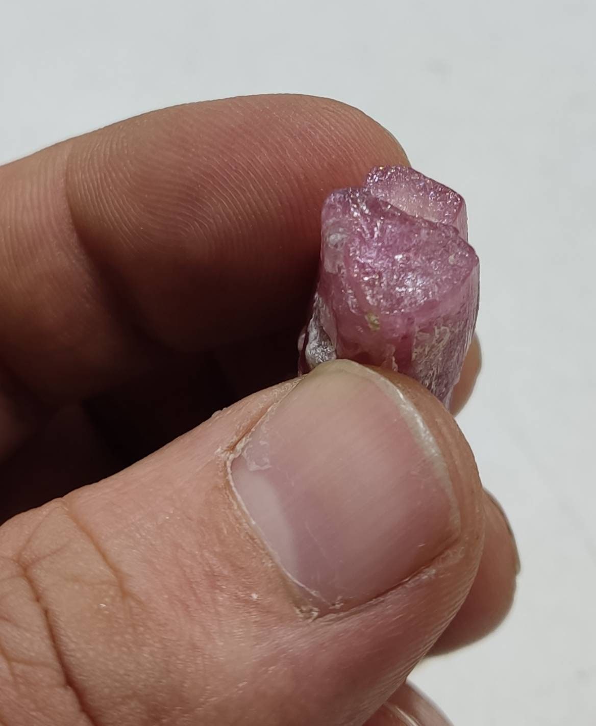 Single amazing pink Tourmaline crystal 50 carats