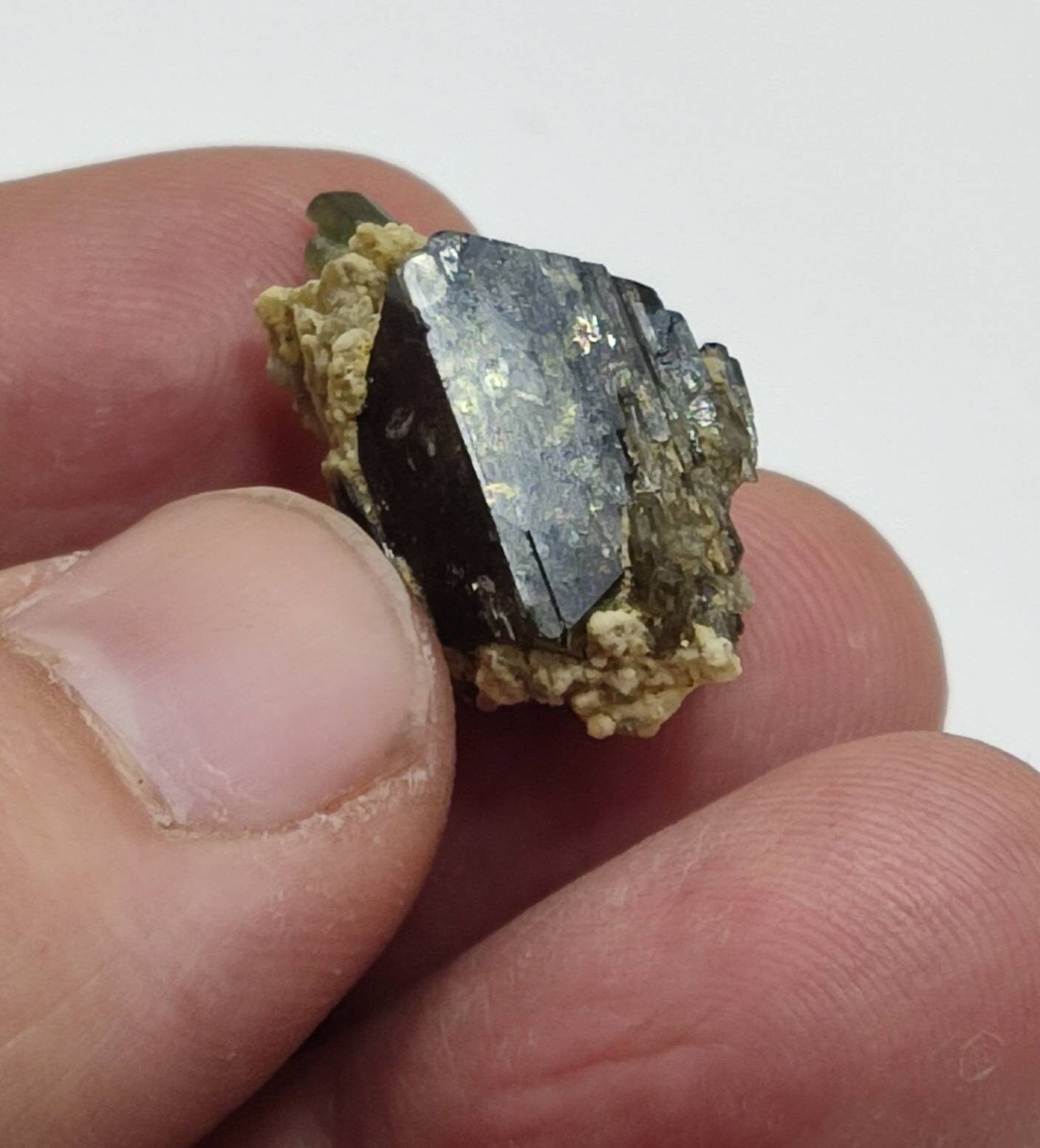 Thumbnail specimen of Epidote with diopside crystal 5 grams