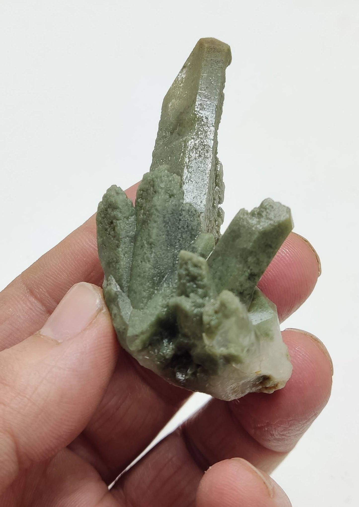 An Aesthetic Natural crystals cluster of beautifully terminated Chlorite Quartz 55 grams