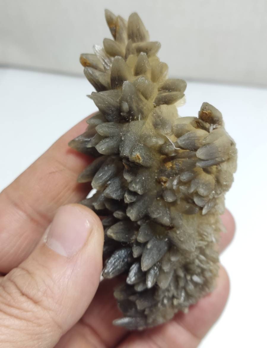 Single beautiful Dogteeth calcite crystals cluster 111 grams