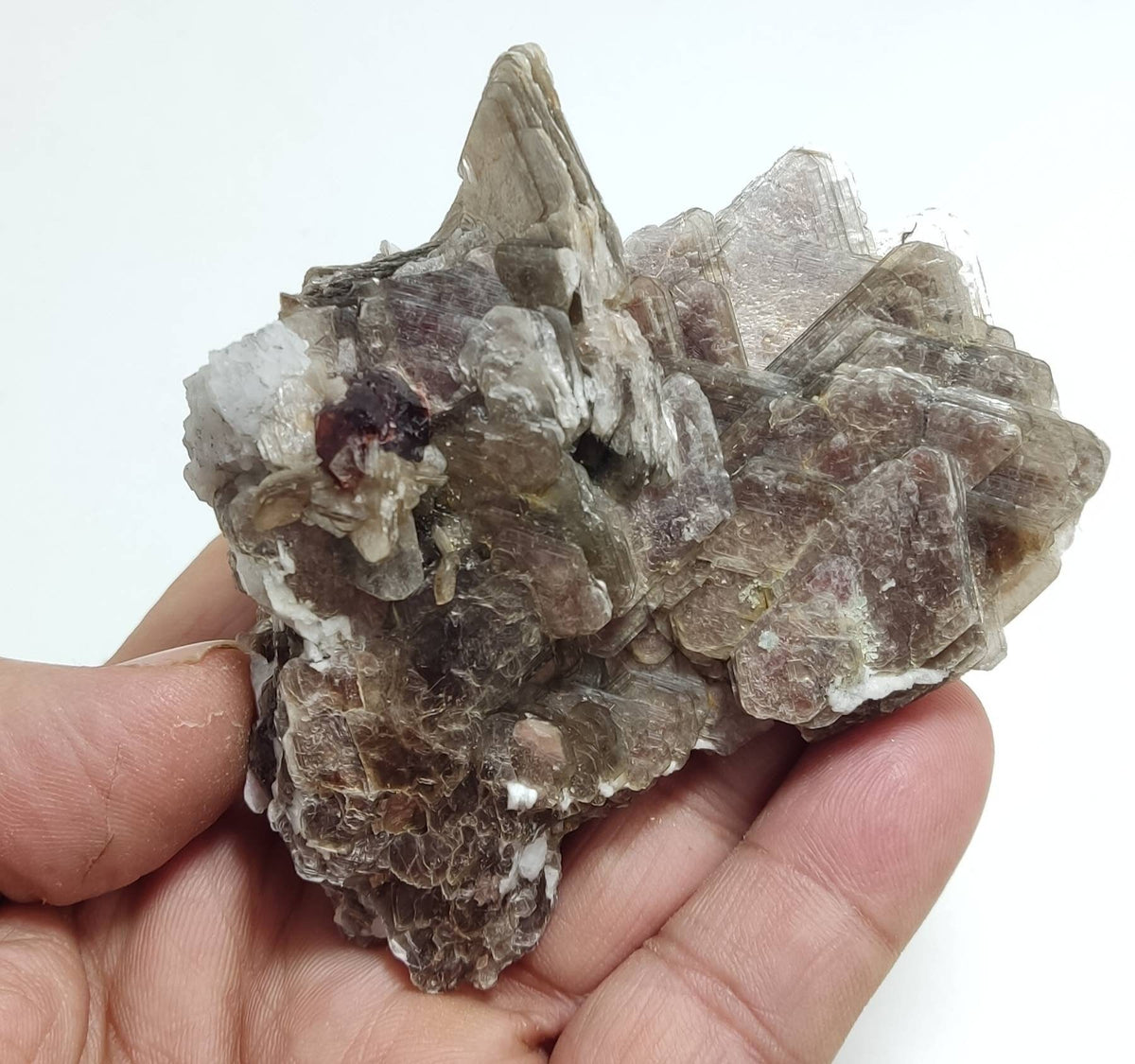 Natural spessartine garnet embedded in muscovite with albite 152 grams